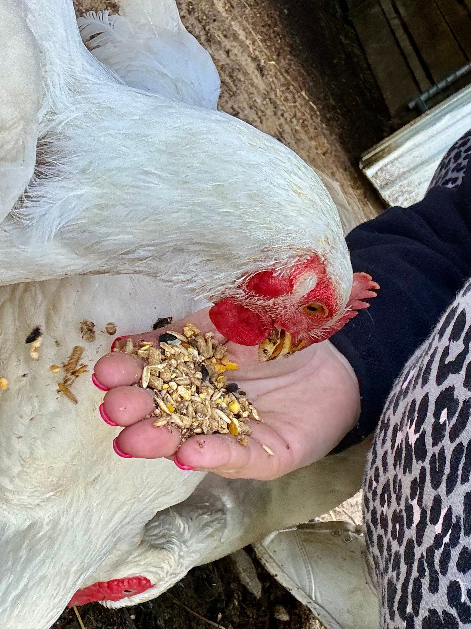 Wild Goats Farm LLC