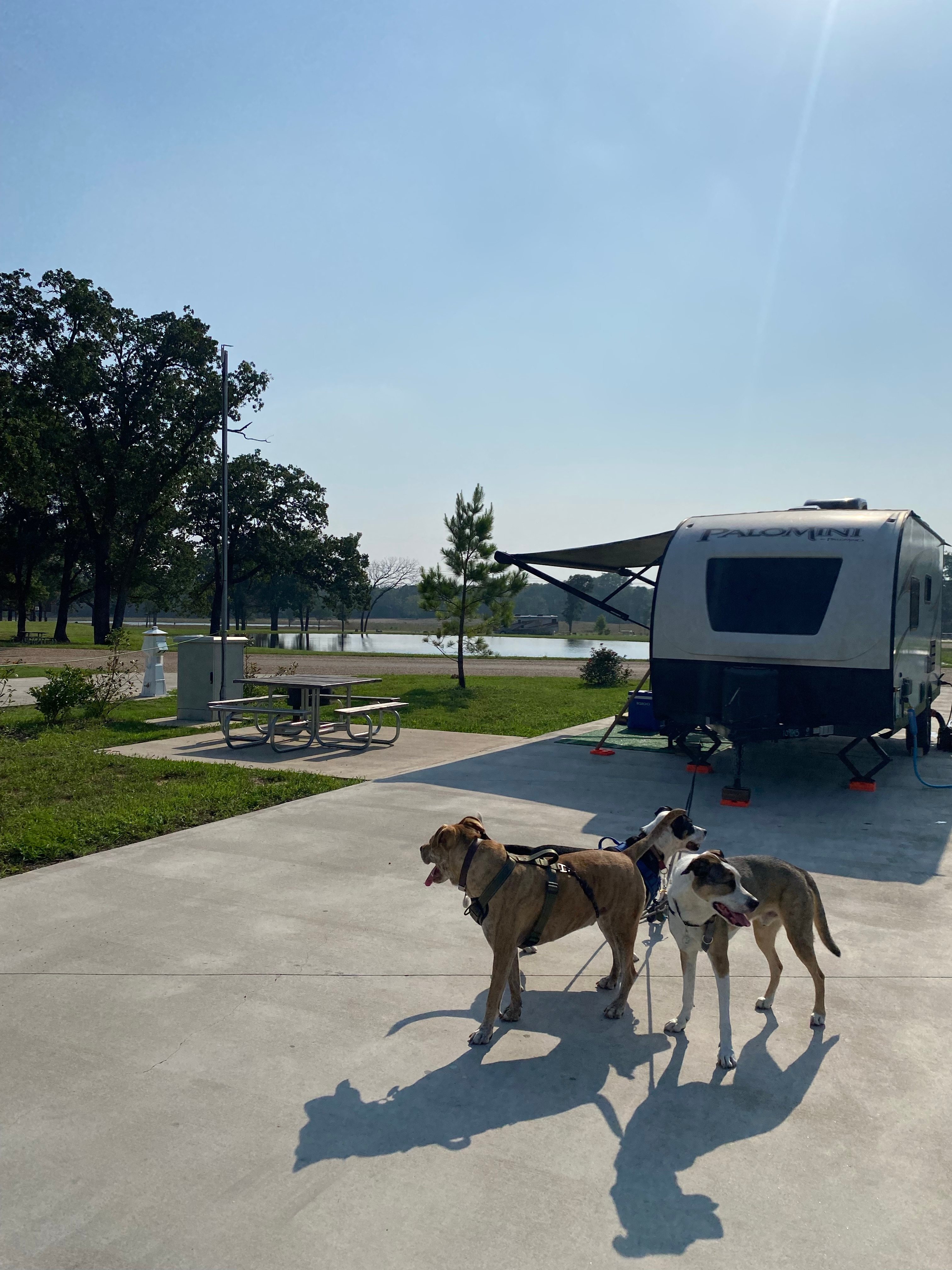 Waco Creekside Resort