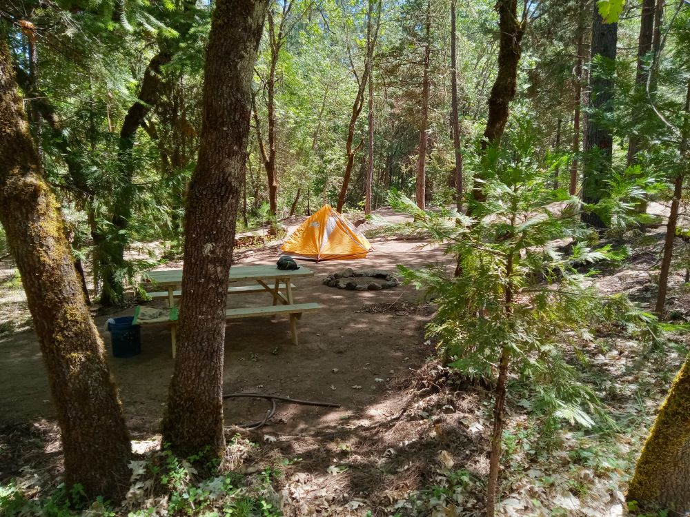 Wild Azalea Eco-Camp