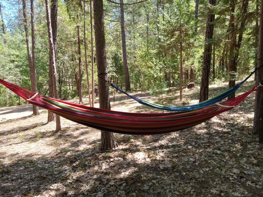 Comfy hammocks next to Shooting Star Tent Site; lay back and relax in the shade.