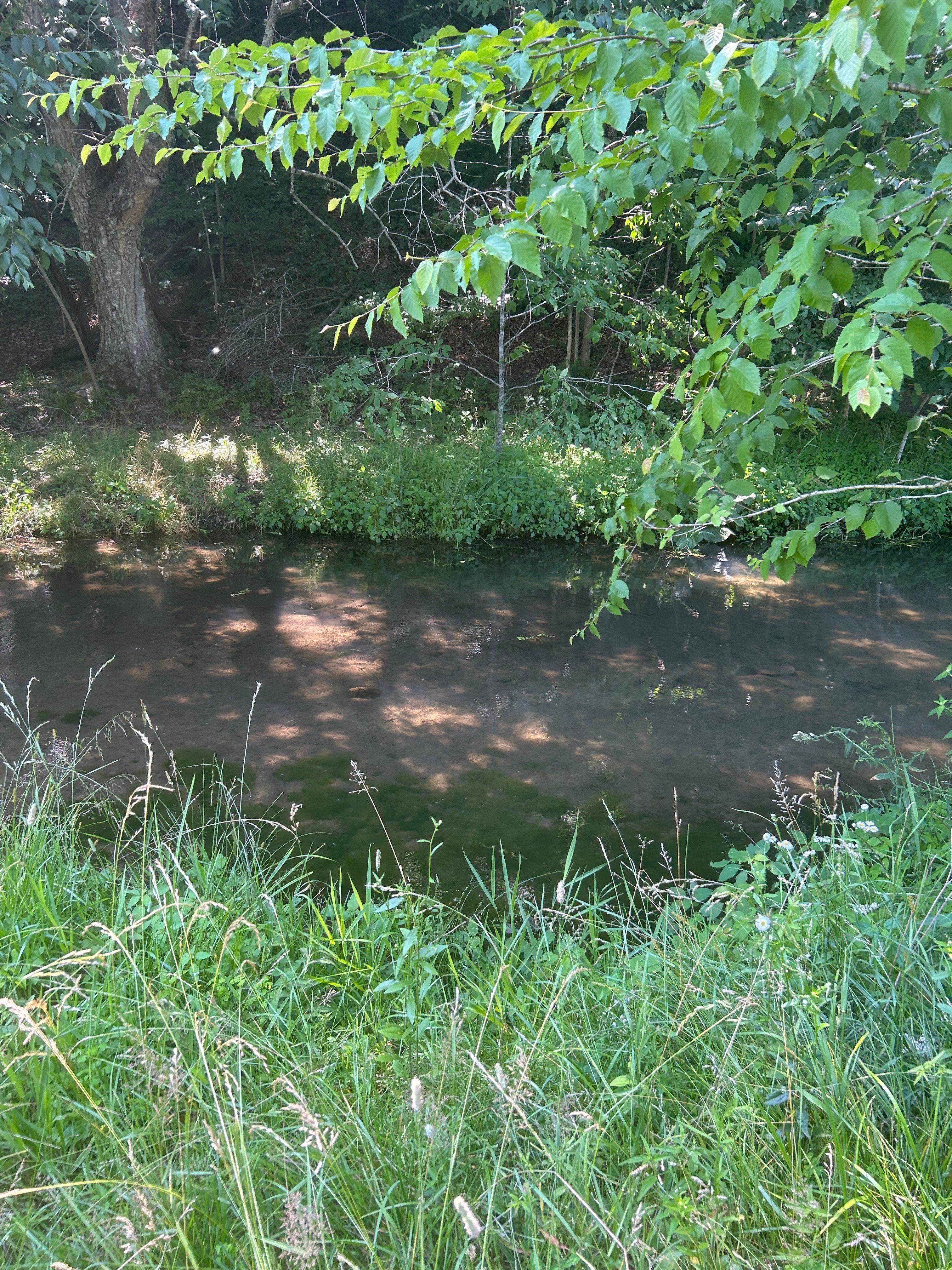 Corner View Acres