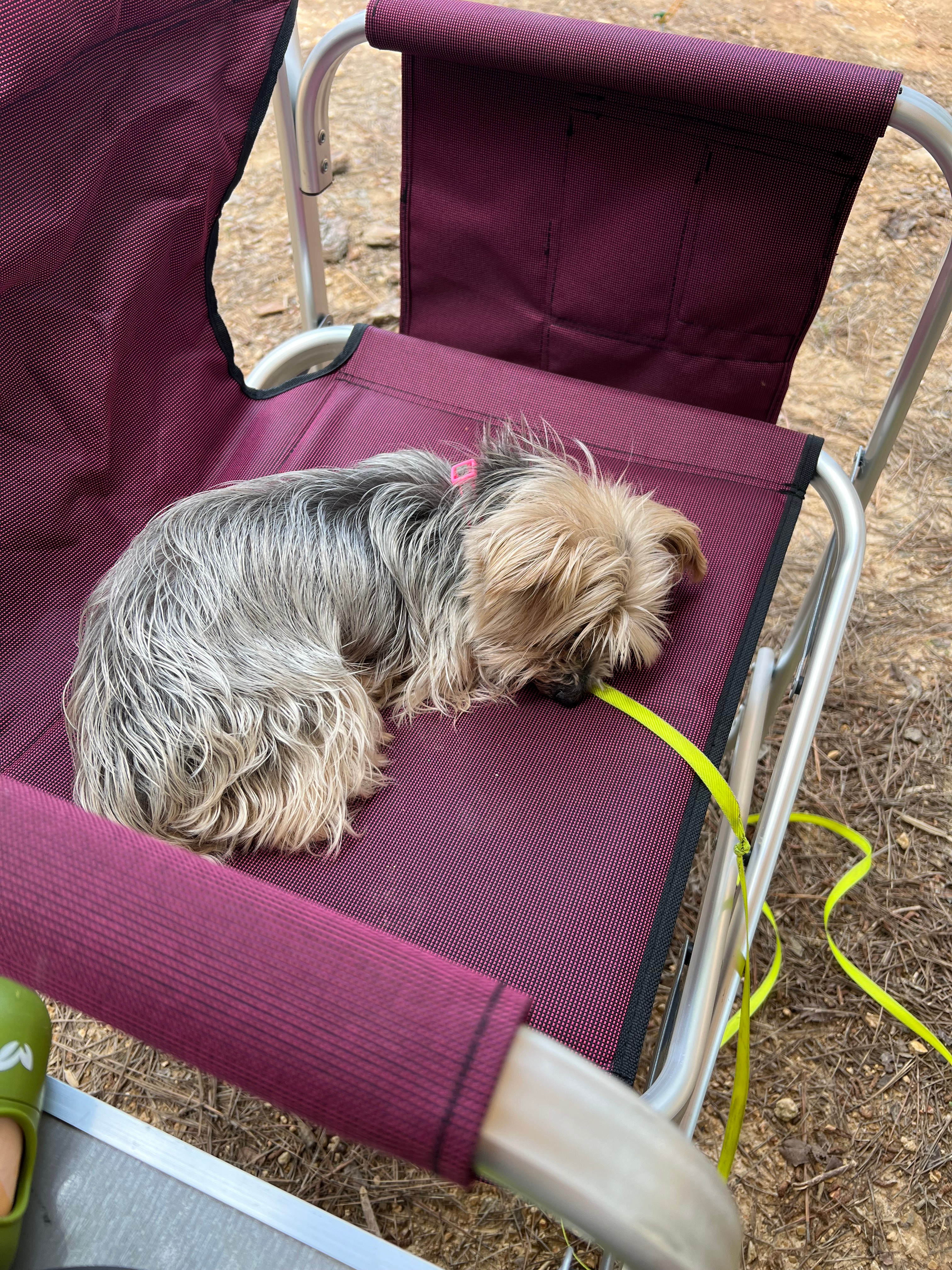 Tired after setting up 