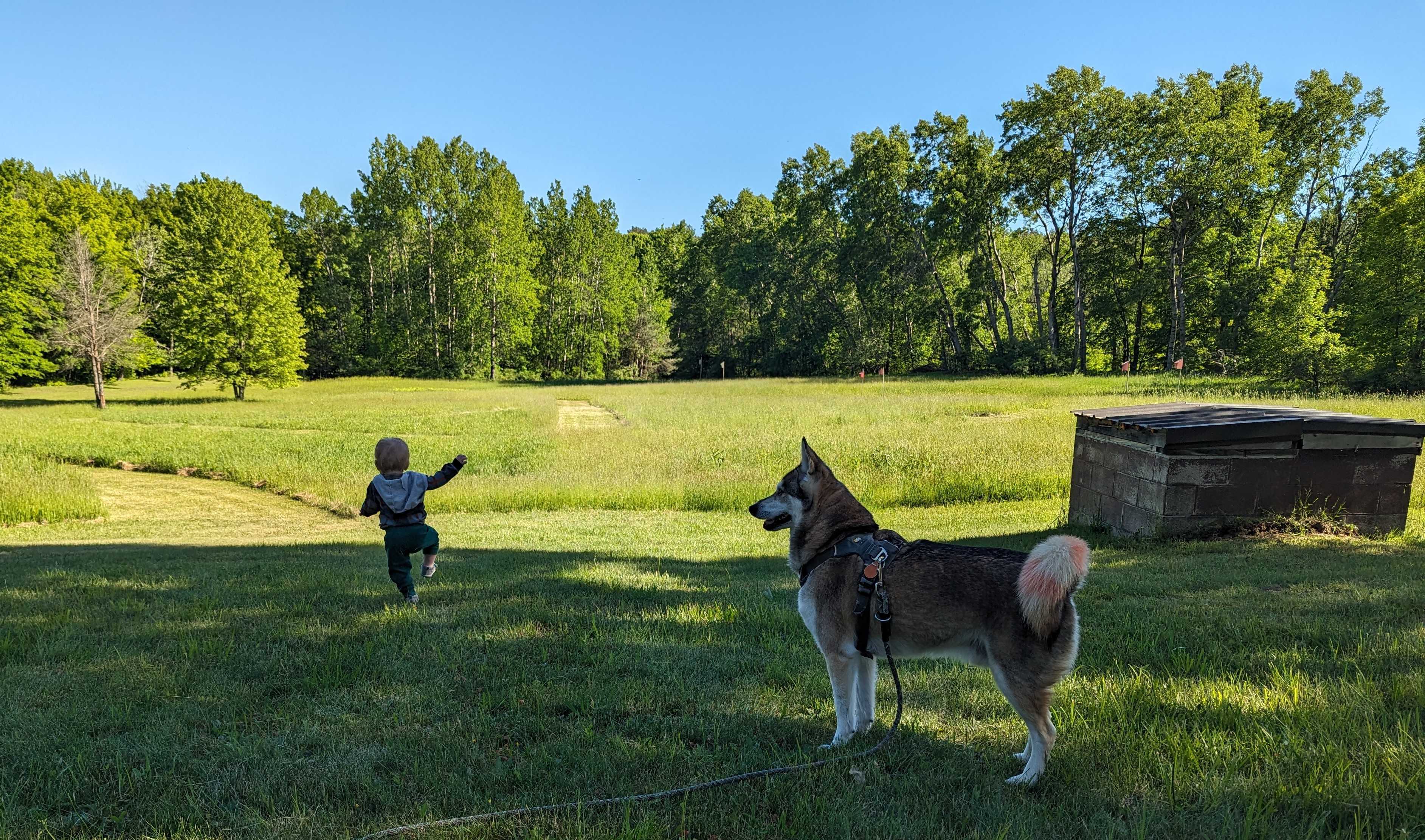 Time to explore these tended lands!