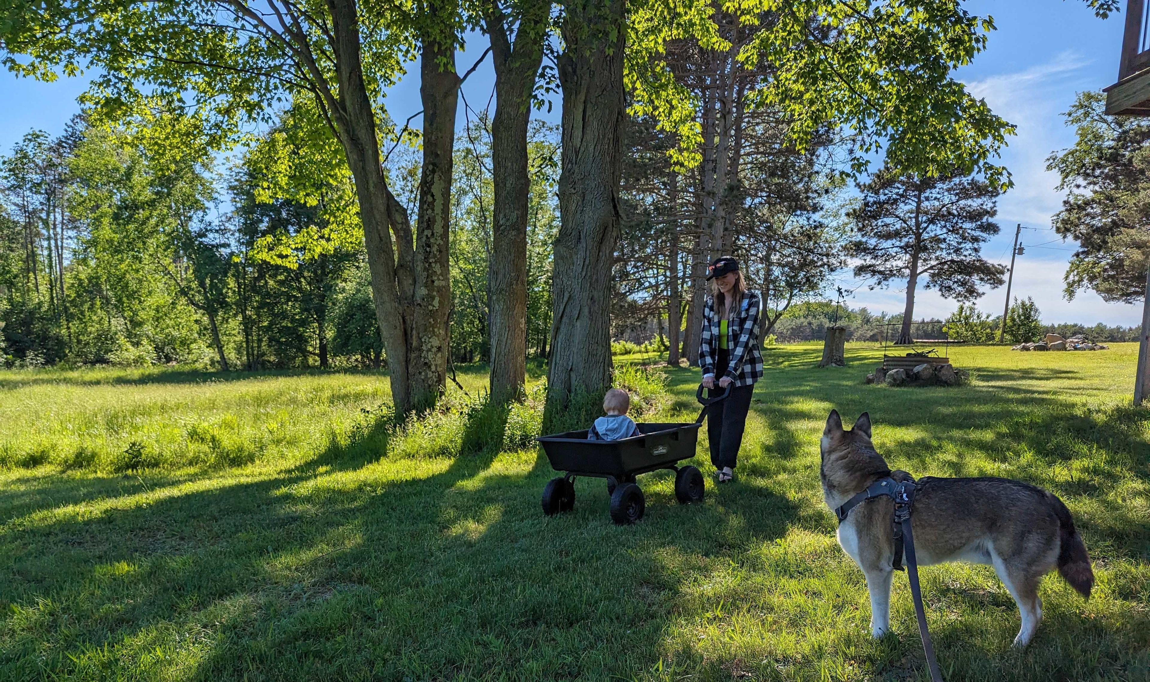 Let's go for a ride. 