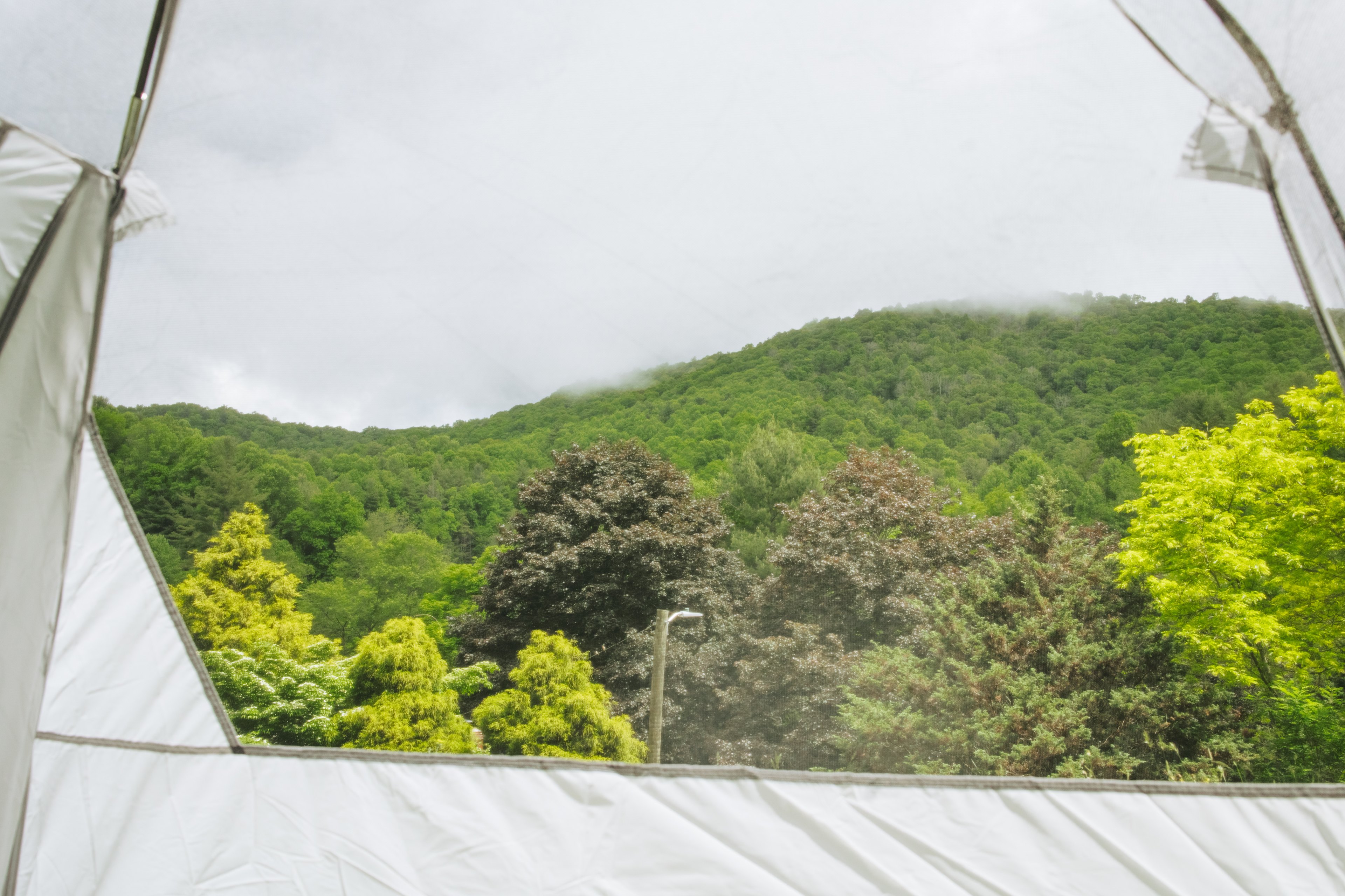 Enjoy the view or a quick storm rolling through right from your tent. 