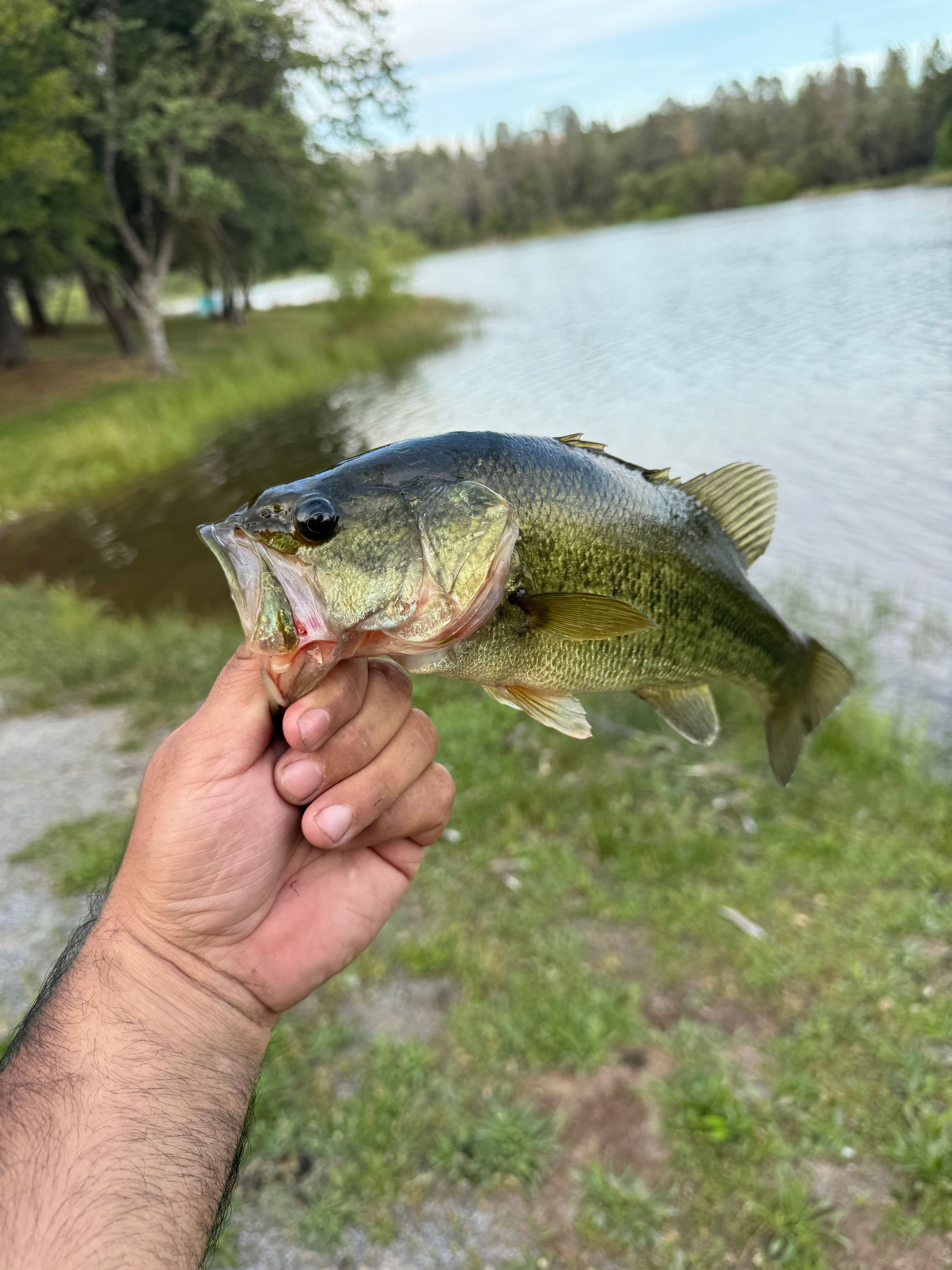 Finnon Lake Recreation Area