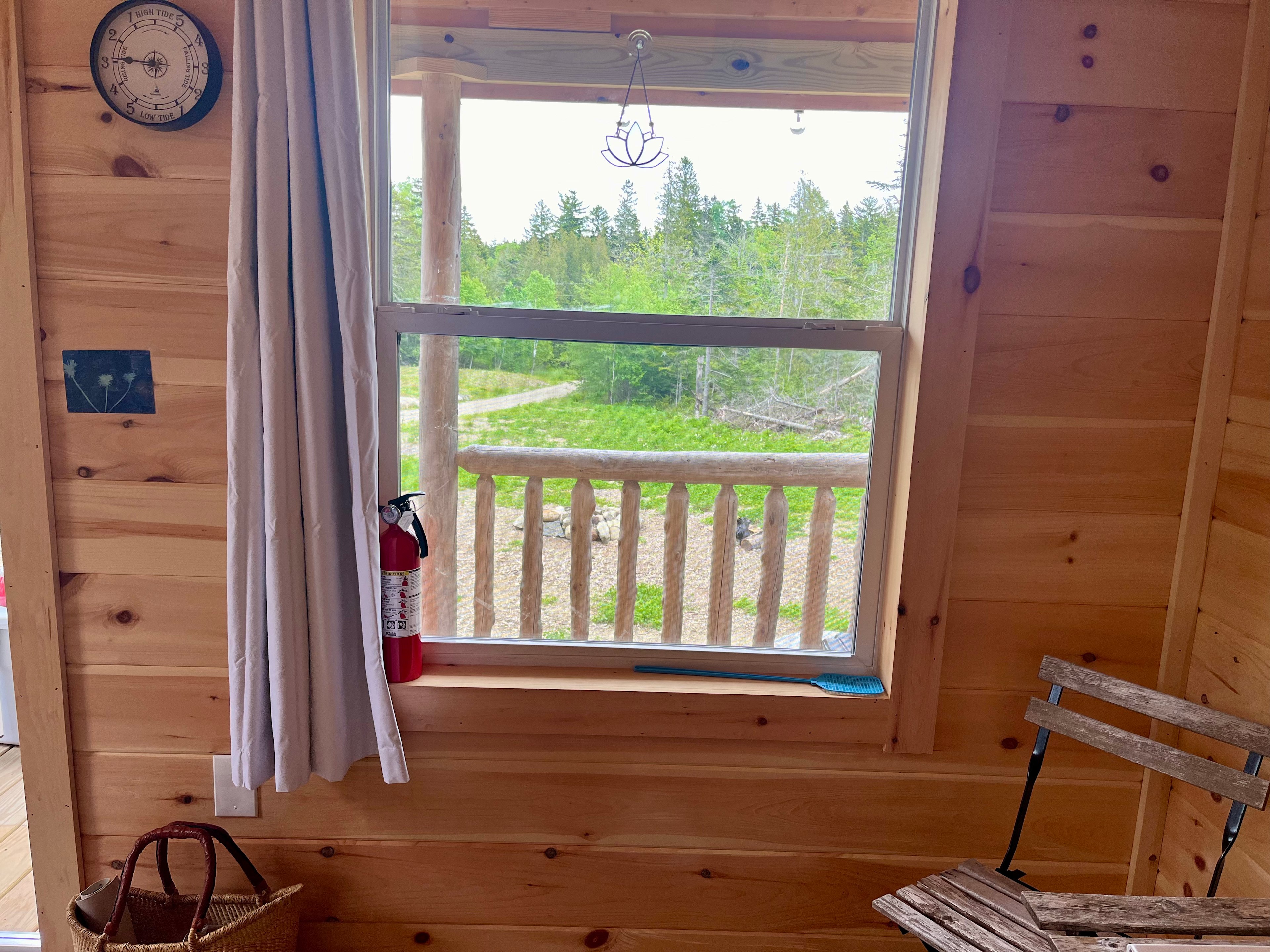 View from the front window, looking down the private driveway.