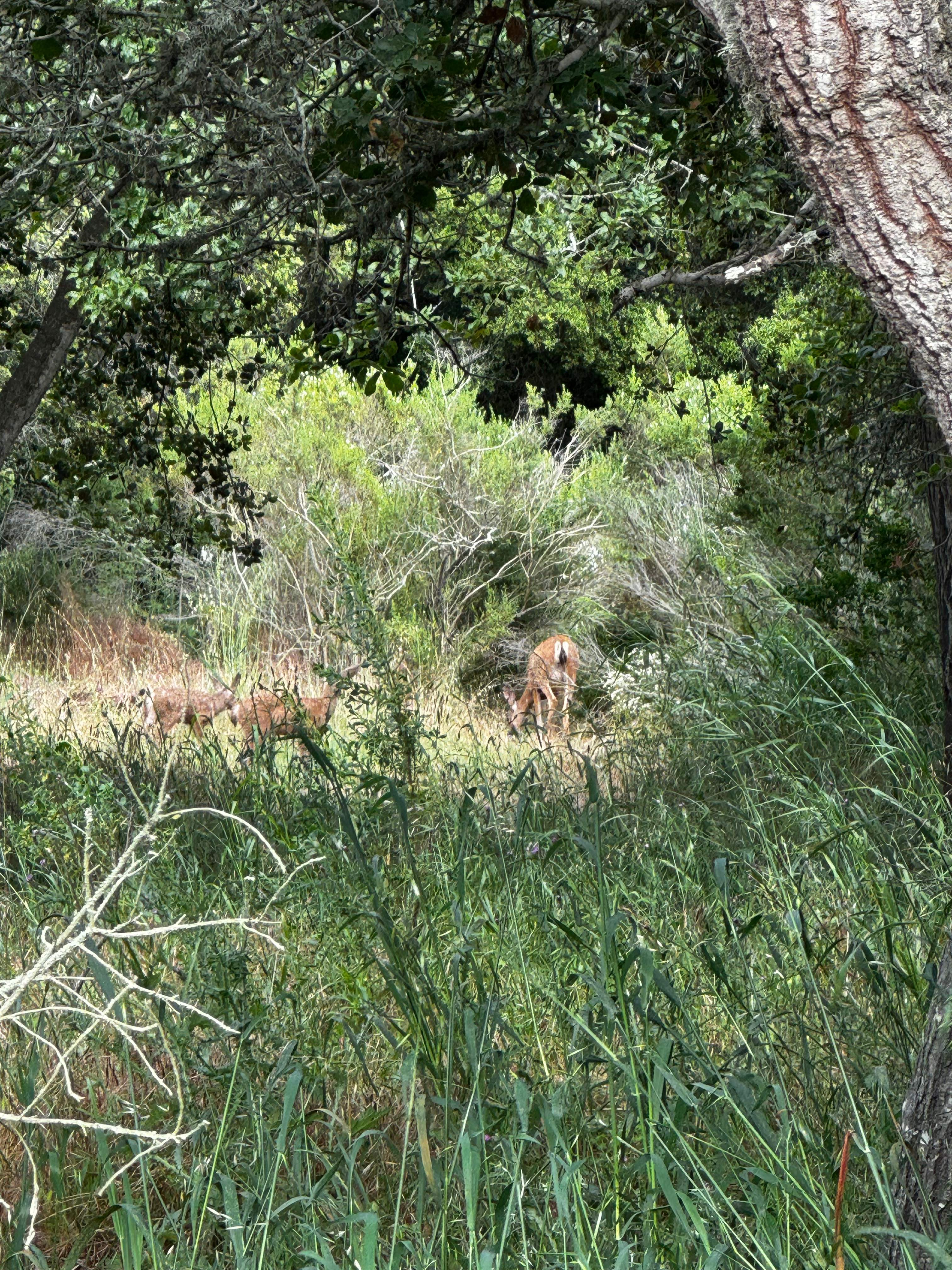 Rancho San Marino