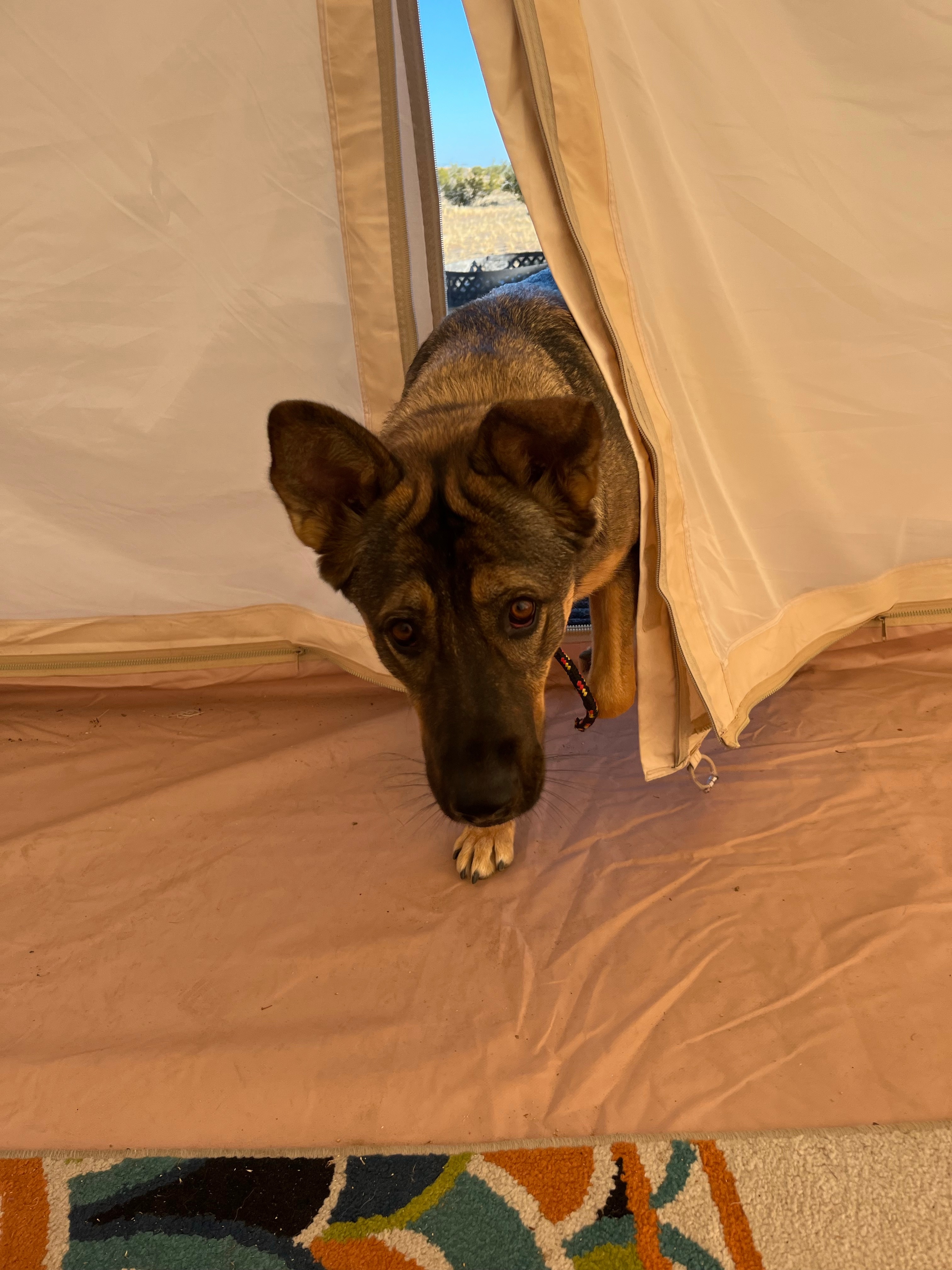SOJOURN STAYS: Desert Yurt Retreat