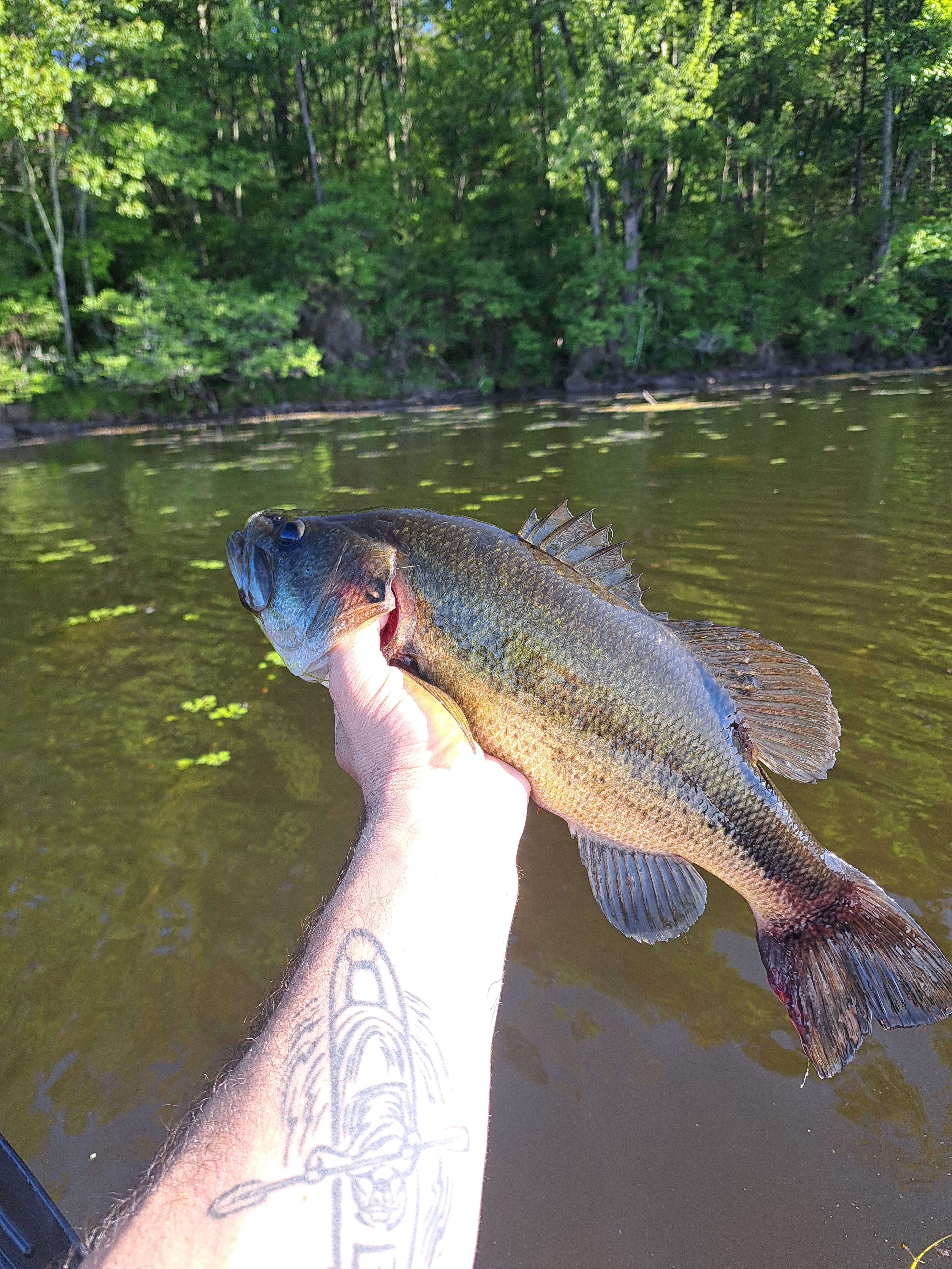 BeaverWood Farm (no children)