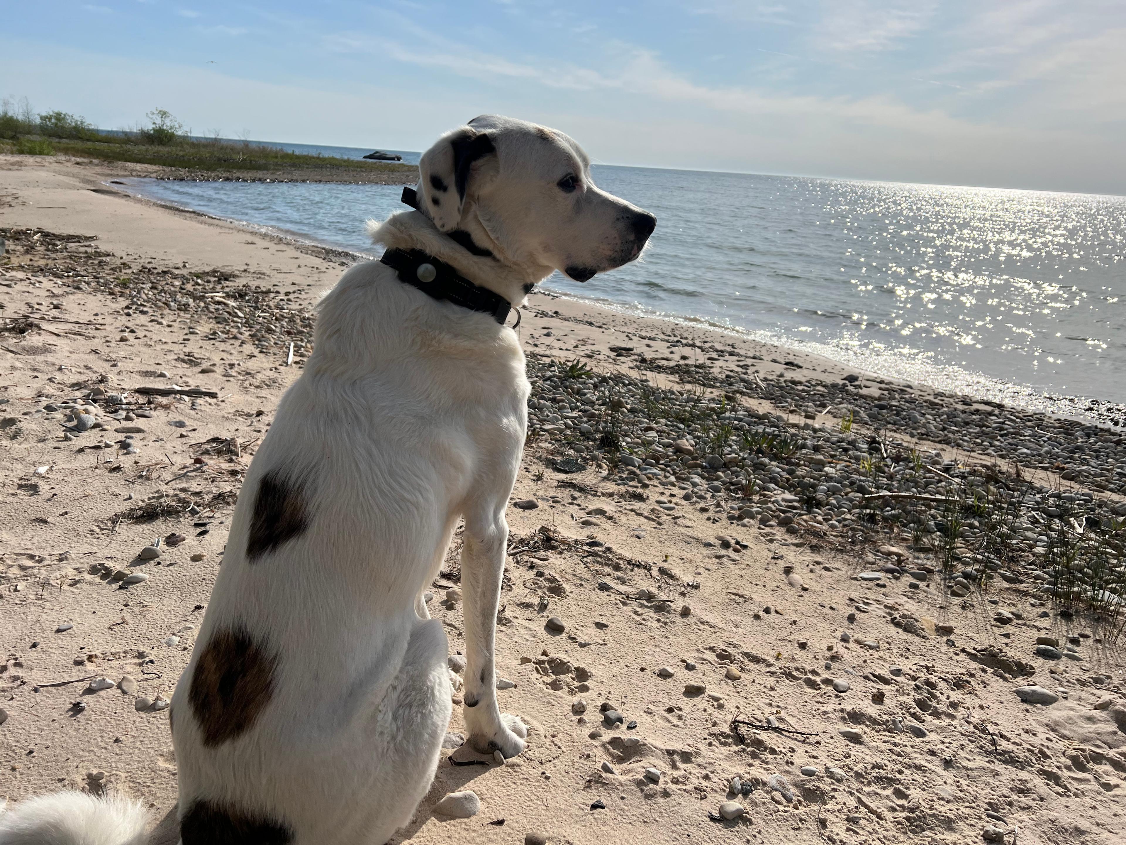 Lake Huron Private Campspot/Ocqueoc