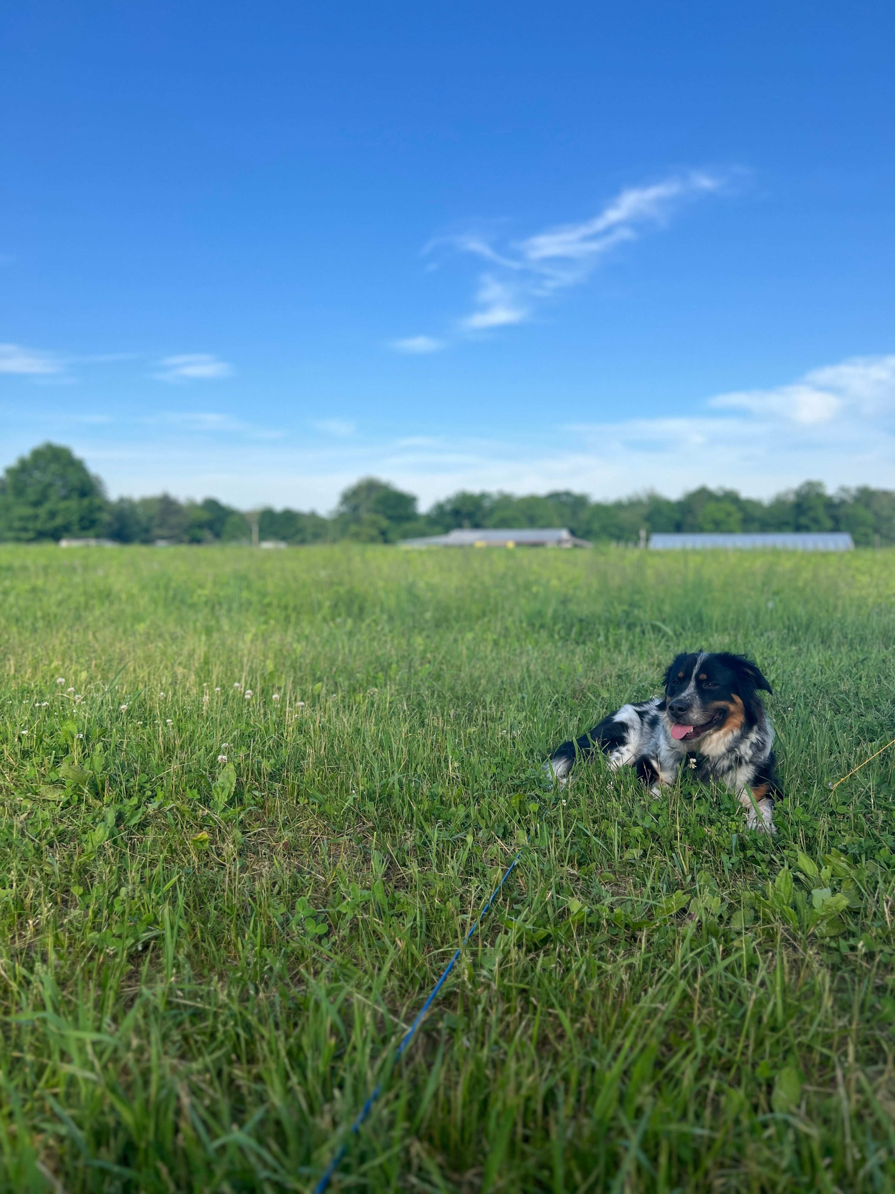 Taliaferro Farms
