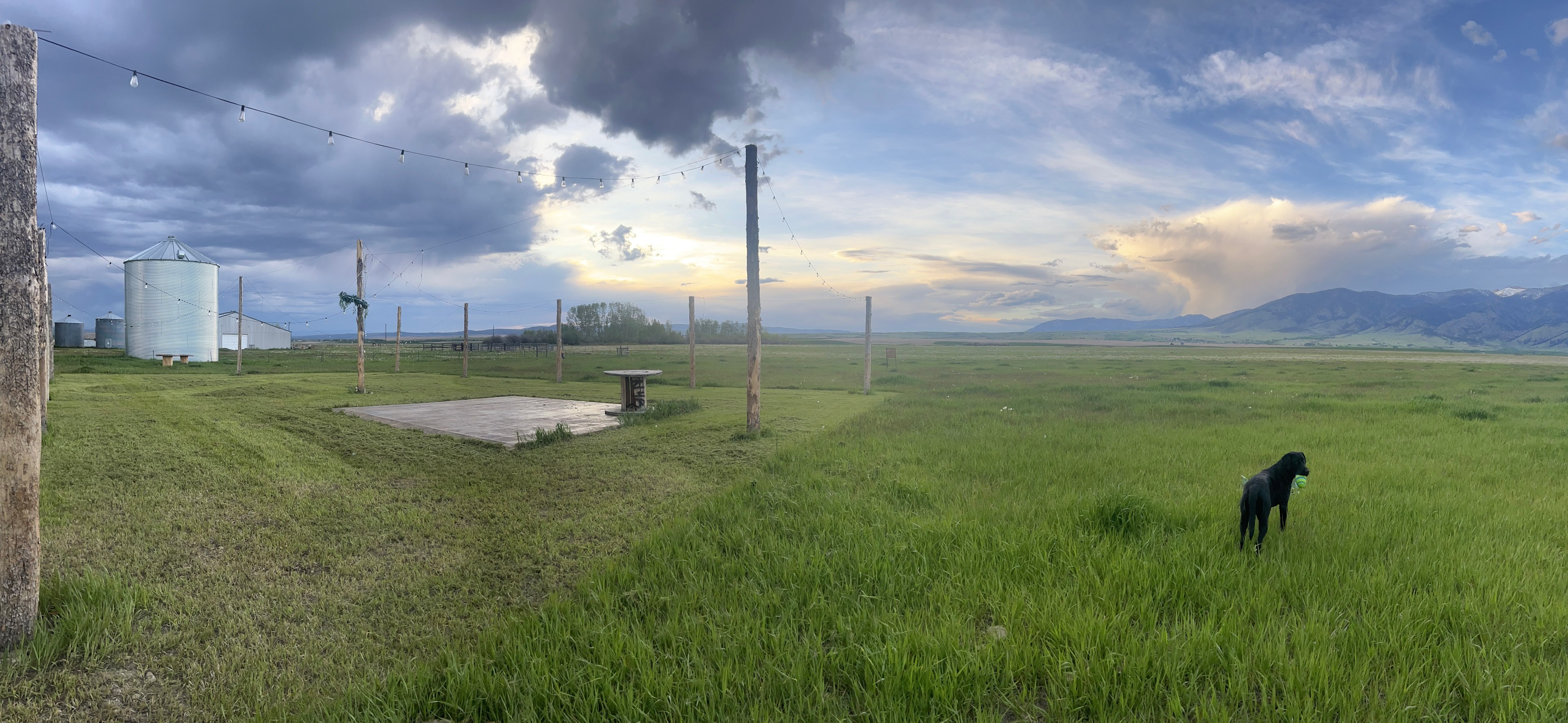 Bridger Views