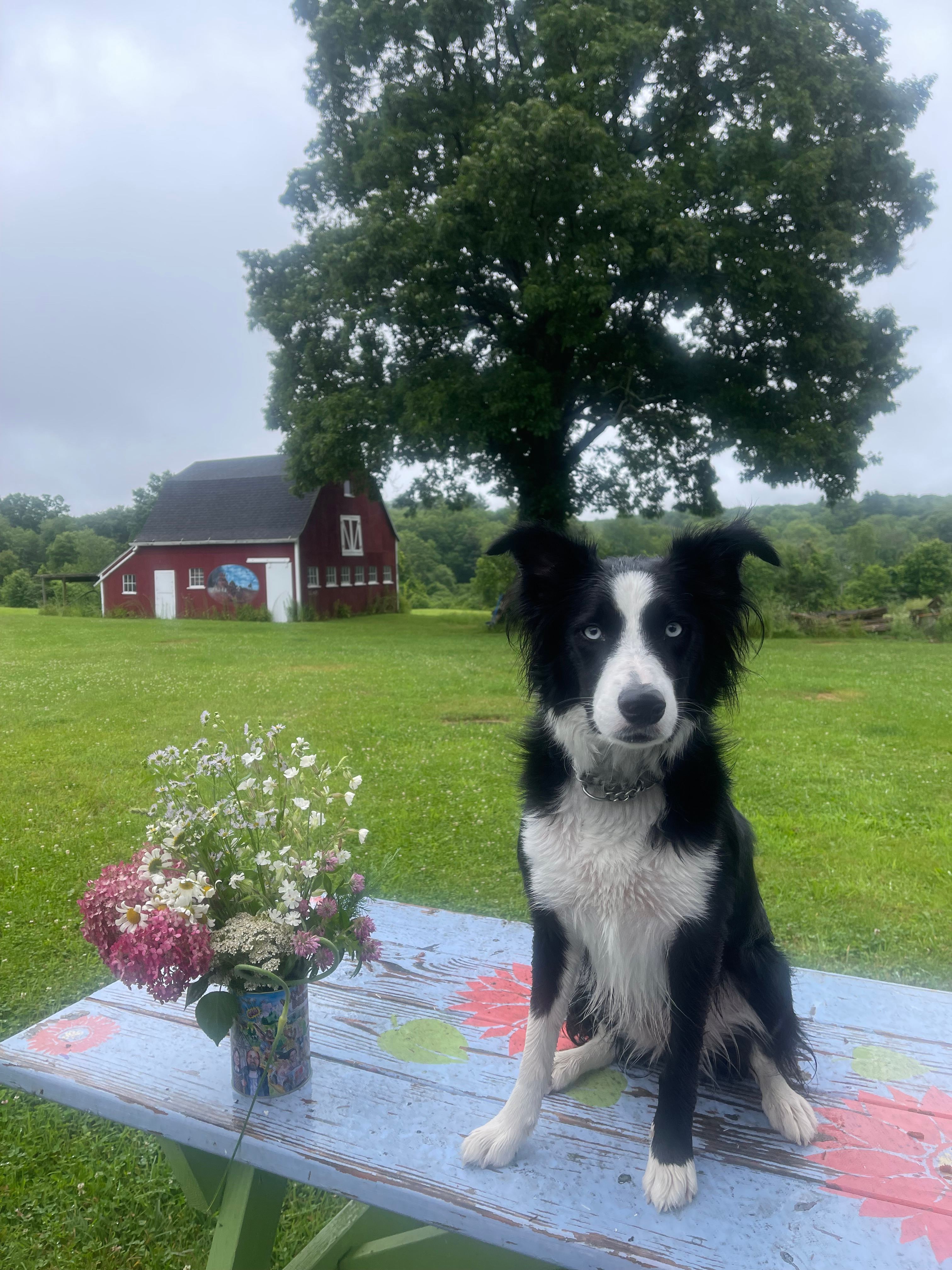 Wee Three Farm