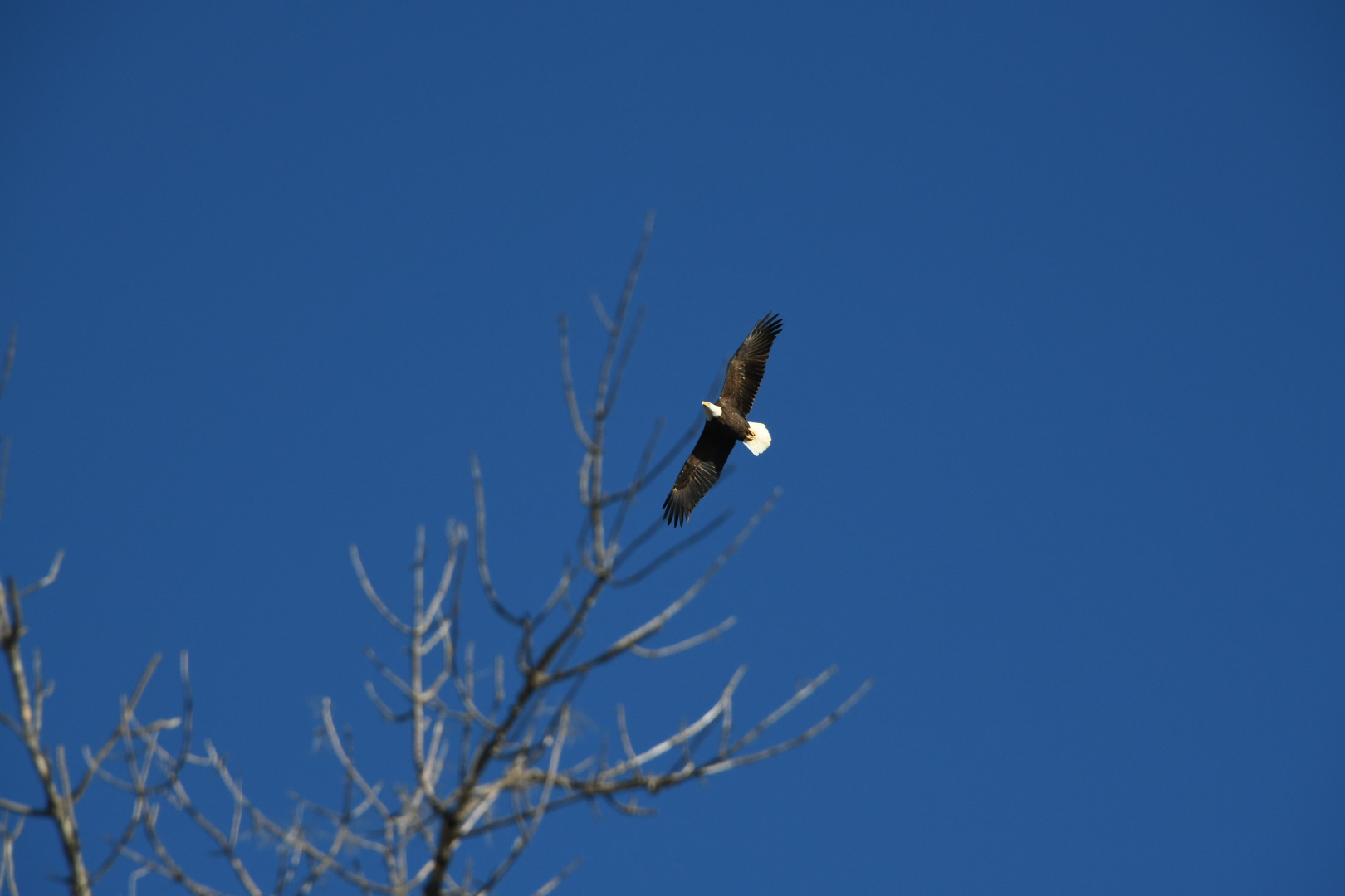 North Point Recreation Area