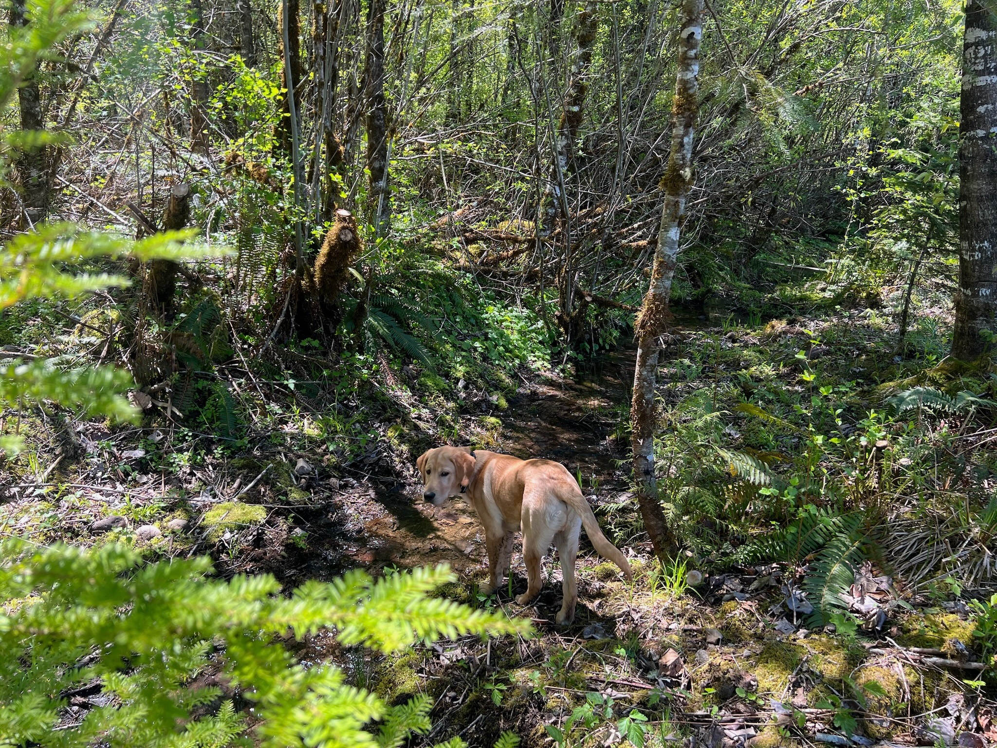 The MEADOW at Welches