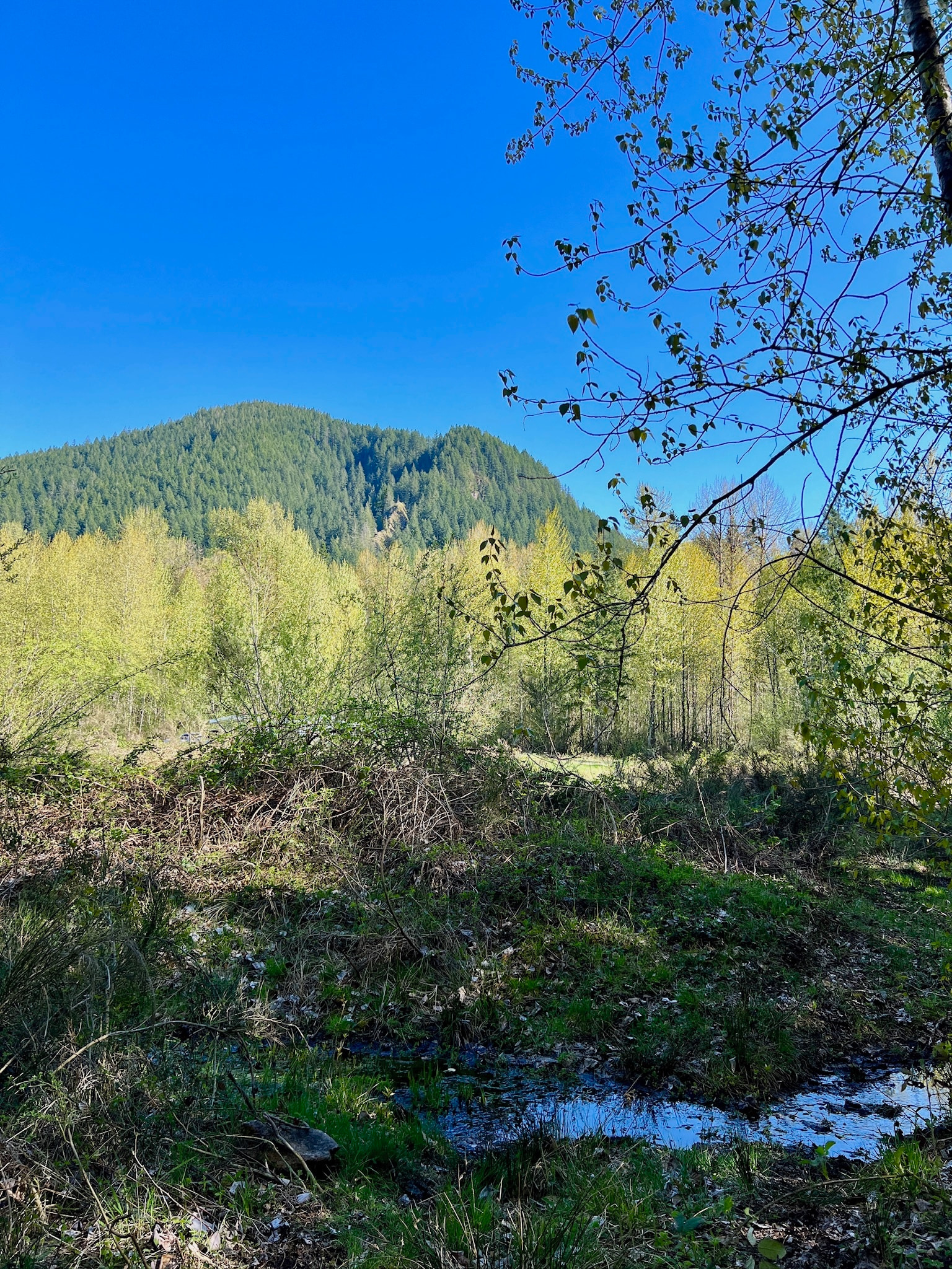 The MEADOW at Welches