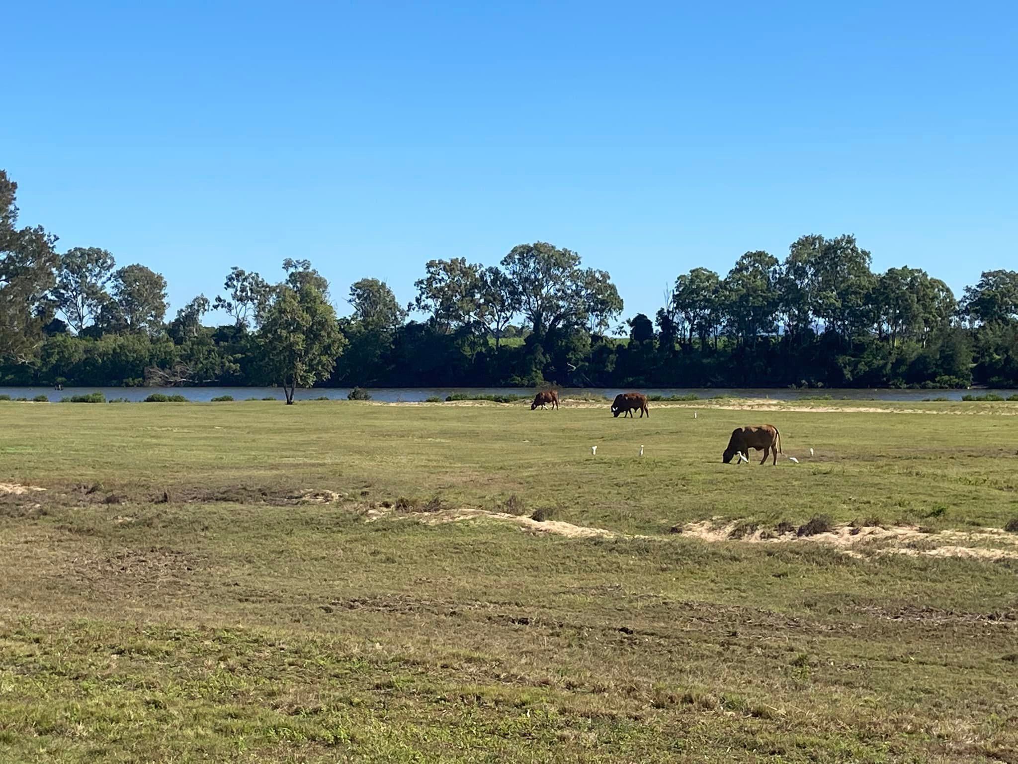 Kolan River Retreat