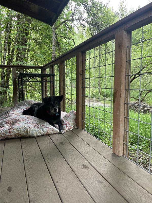 Santiam Serenity