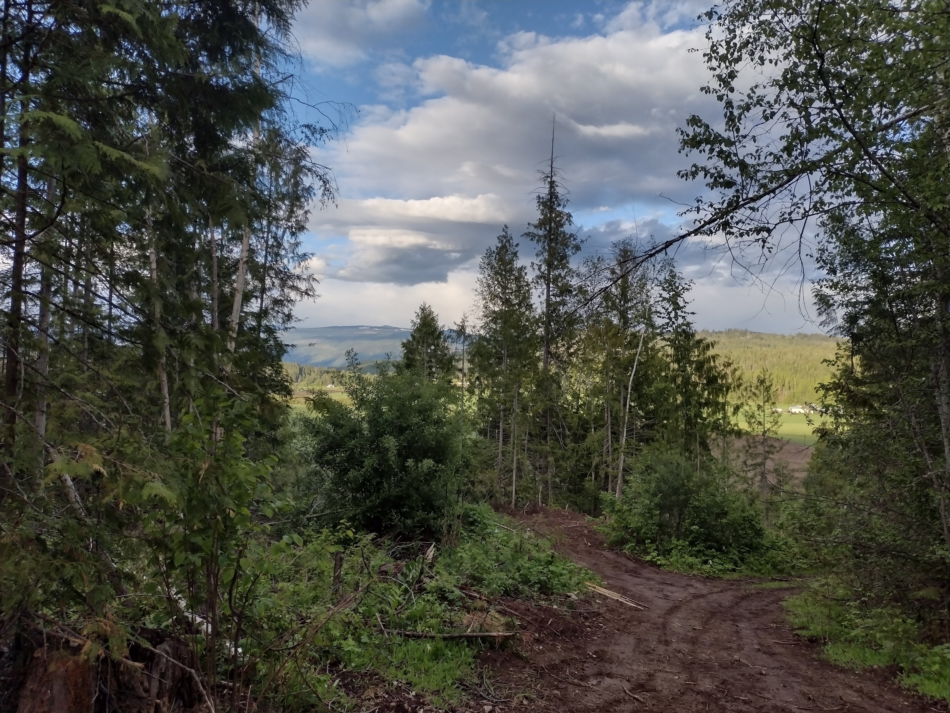 Deep Creek Cabin And Tents