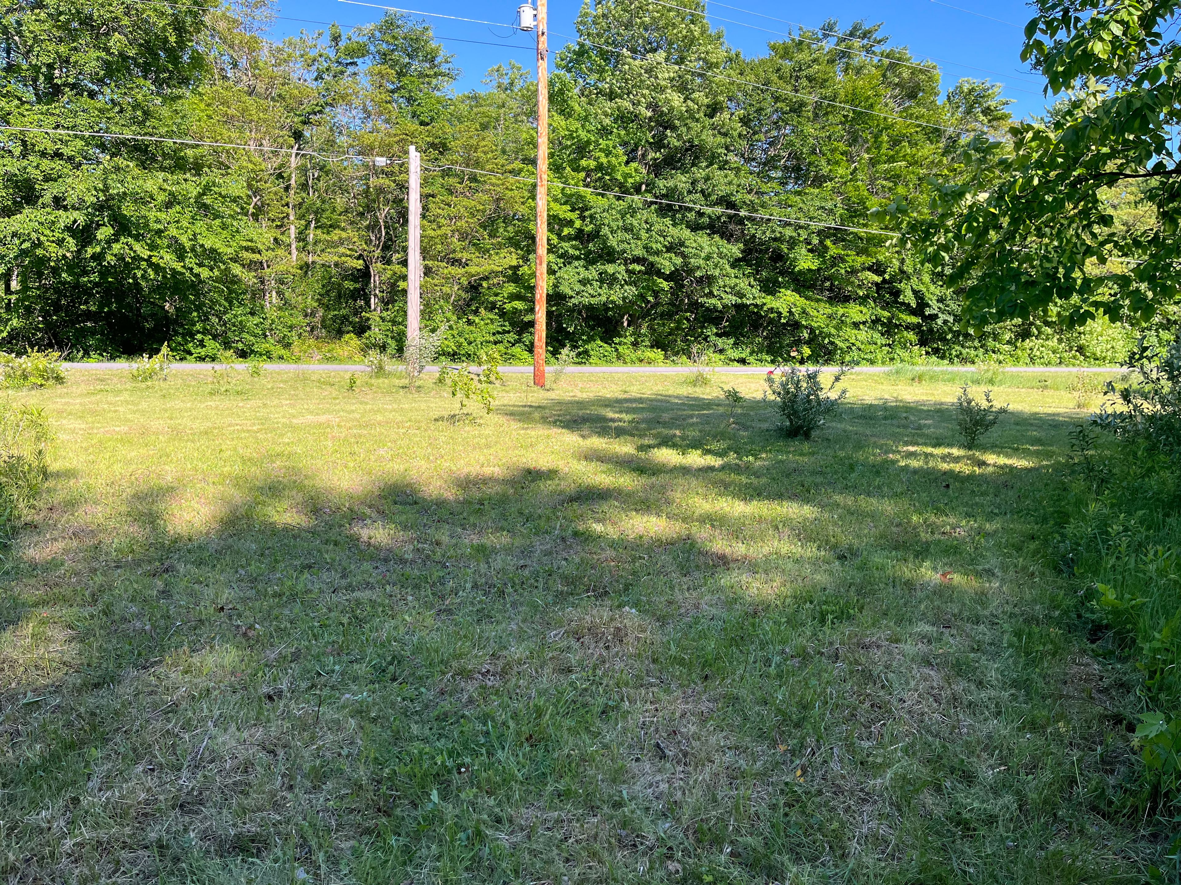 Michigan Summer Haven