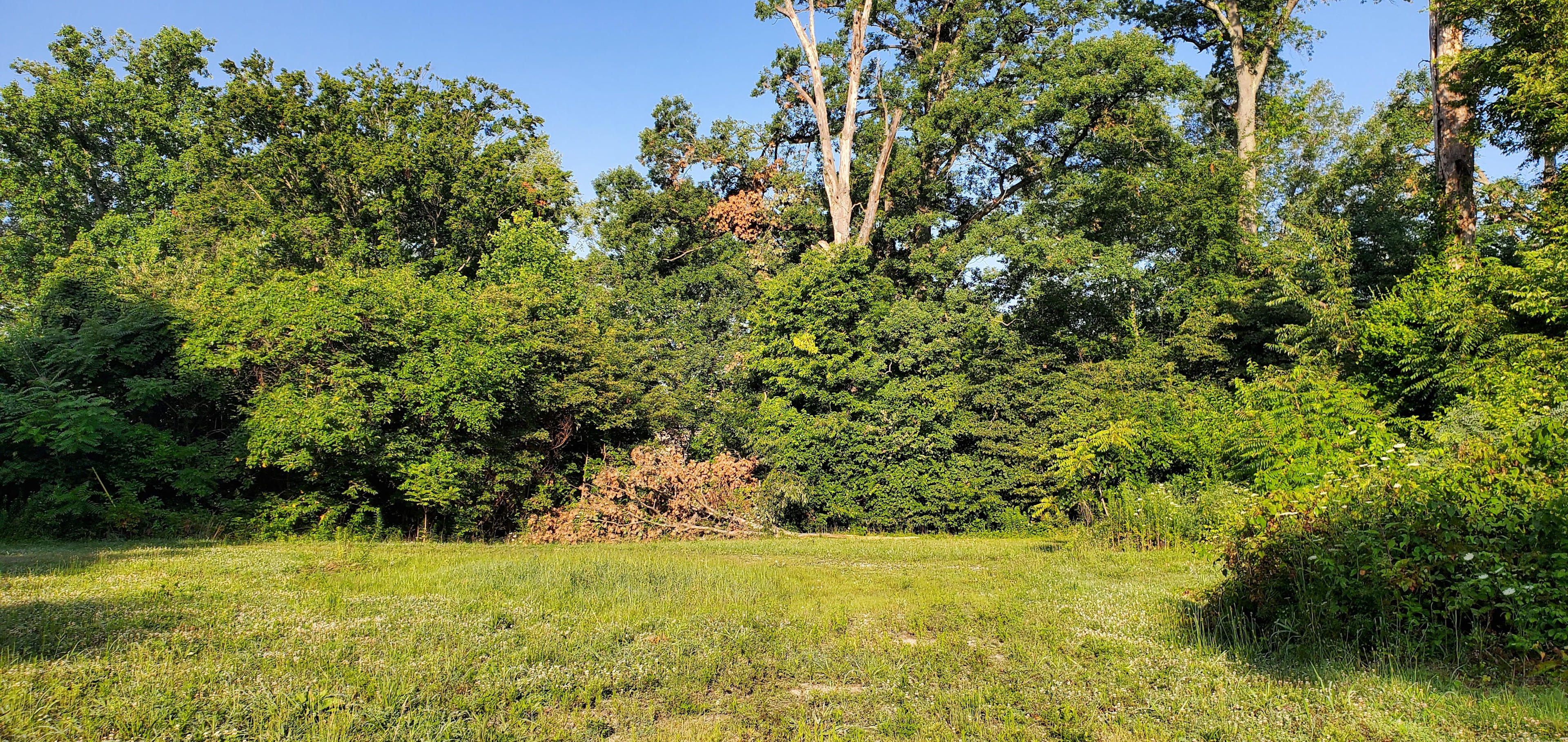 Secluded Peaceful Lot Creek &Ravine
