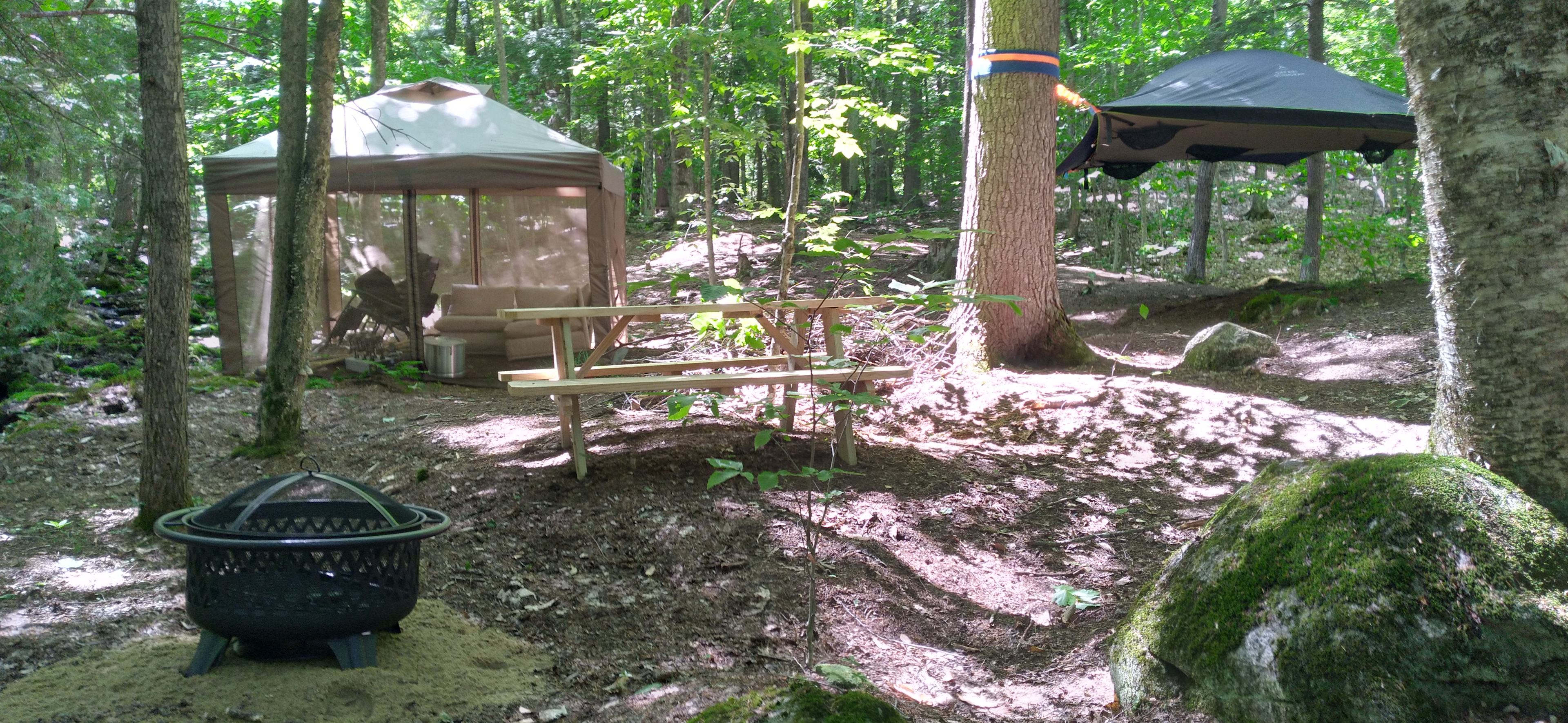 Camp Wild At Bobcat Rock