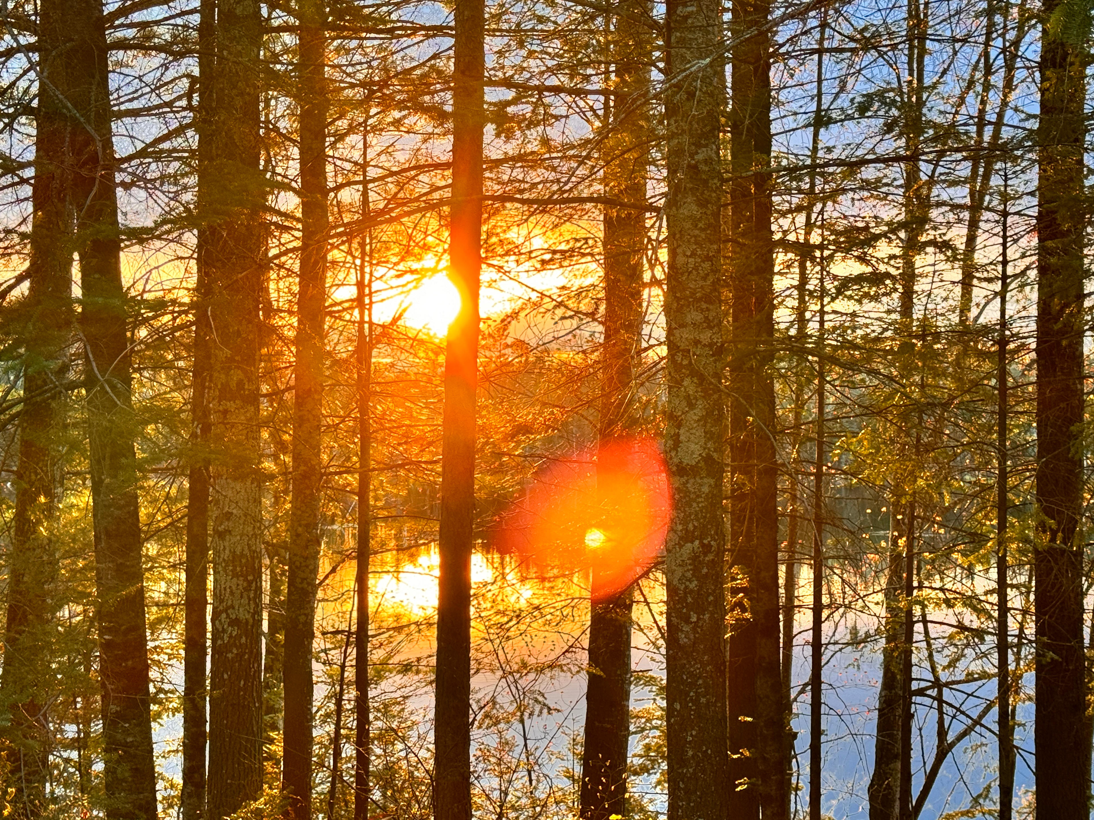 Campsite 13