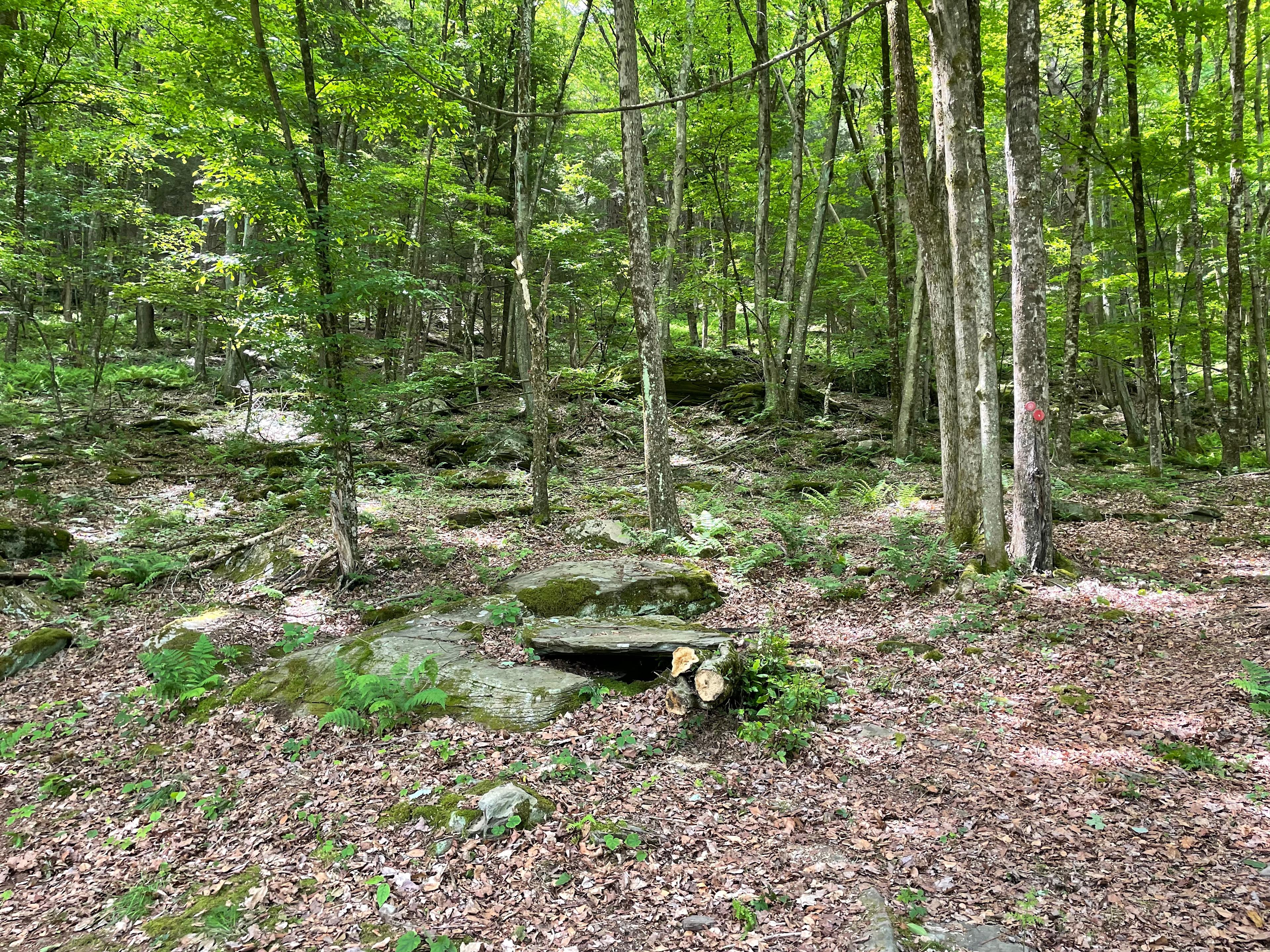 River Rock Farm