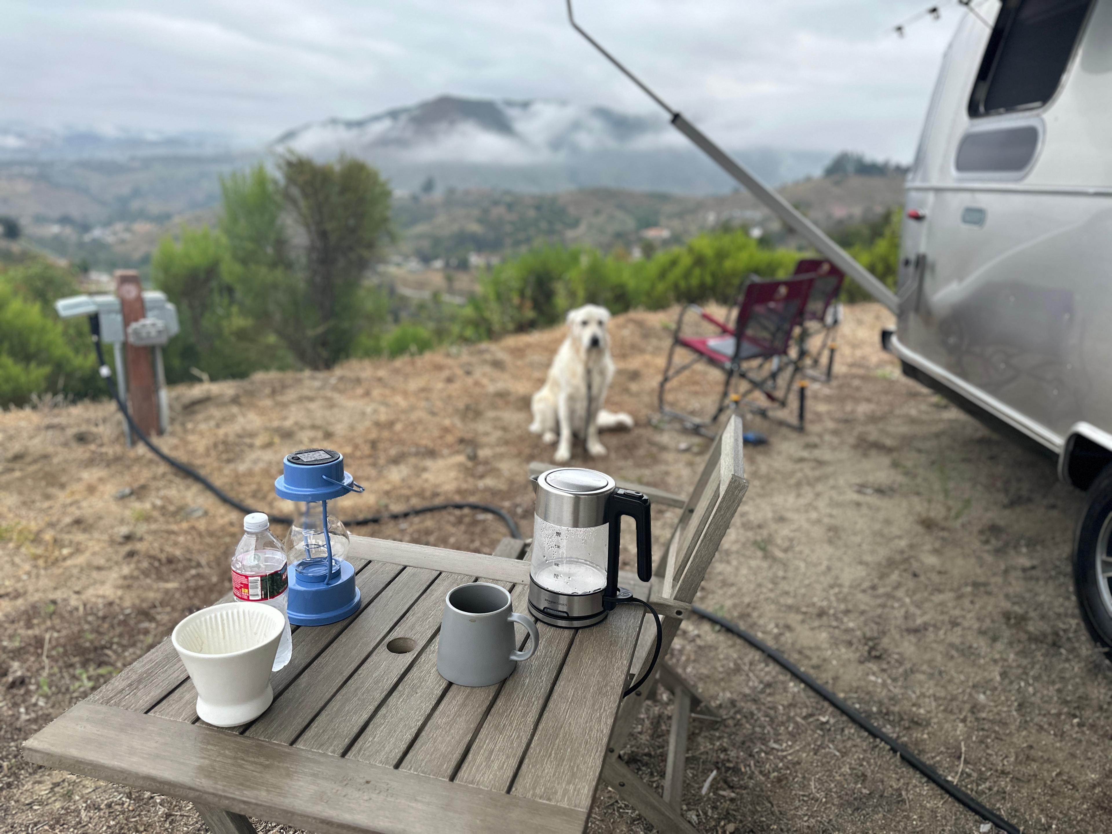 Morning coffee with Charlie!