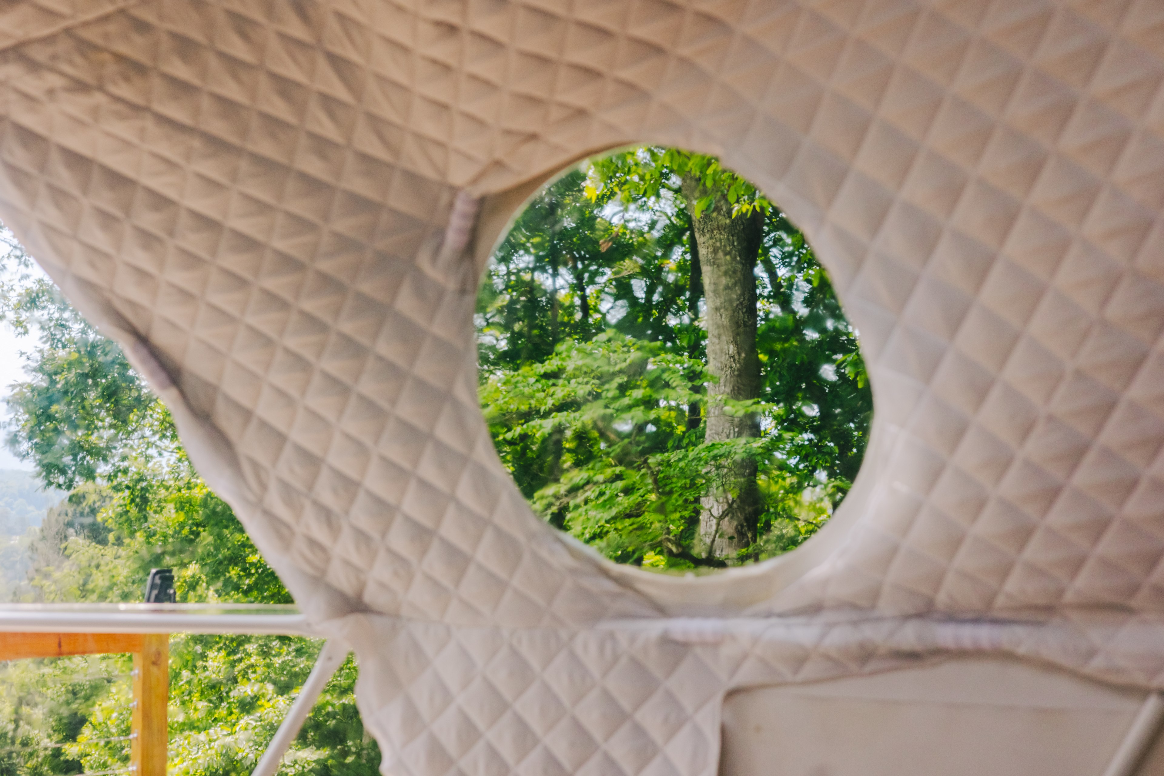 Views from inside the tent. 