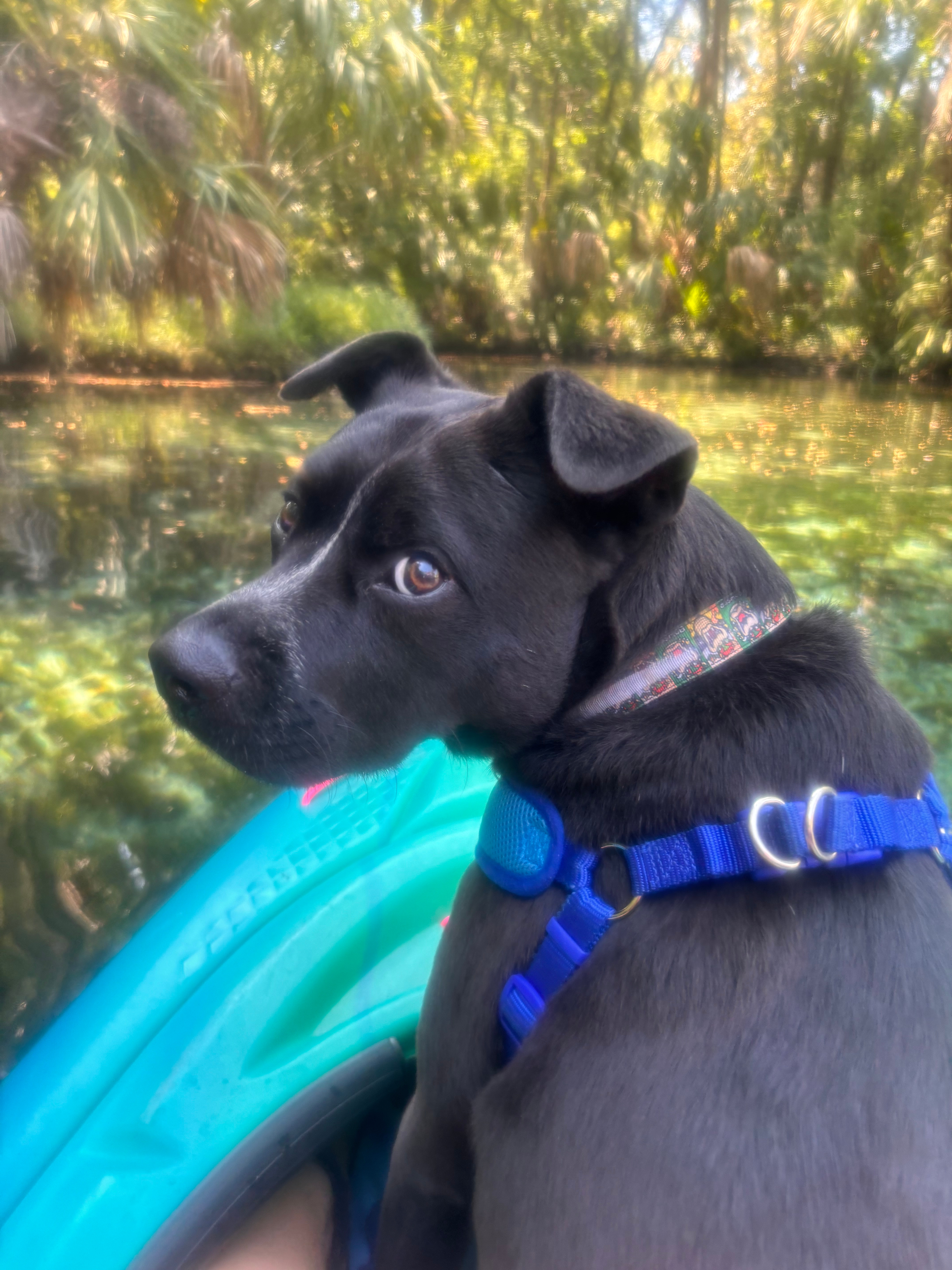 Manatee Delight RV Camp Site