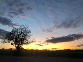 Treloar Ranch