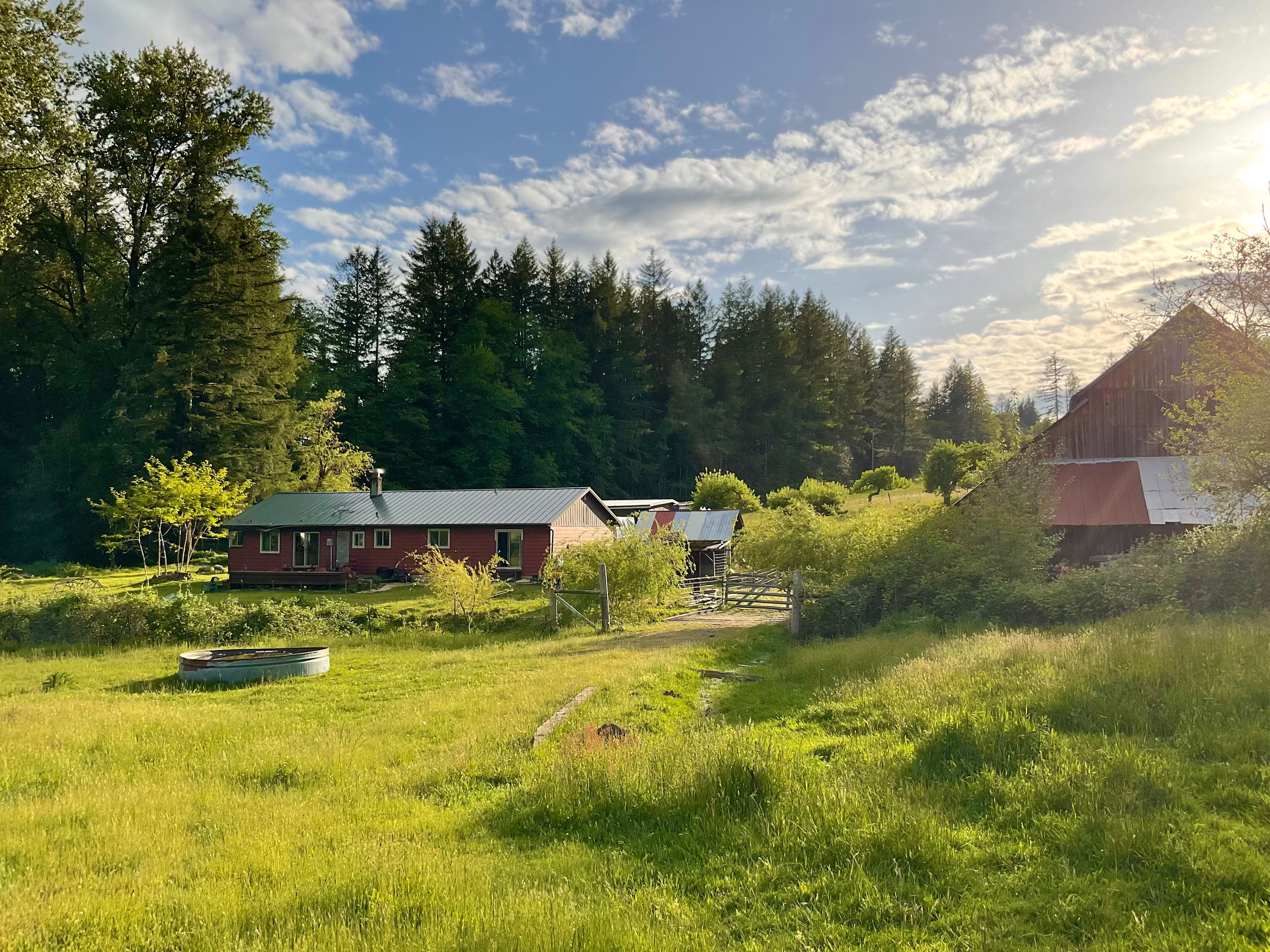 View of the host’s house and barn from the back pasture, where the camping site is.