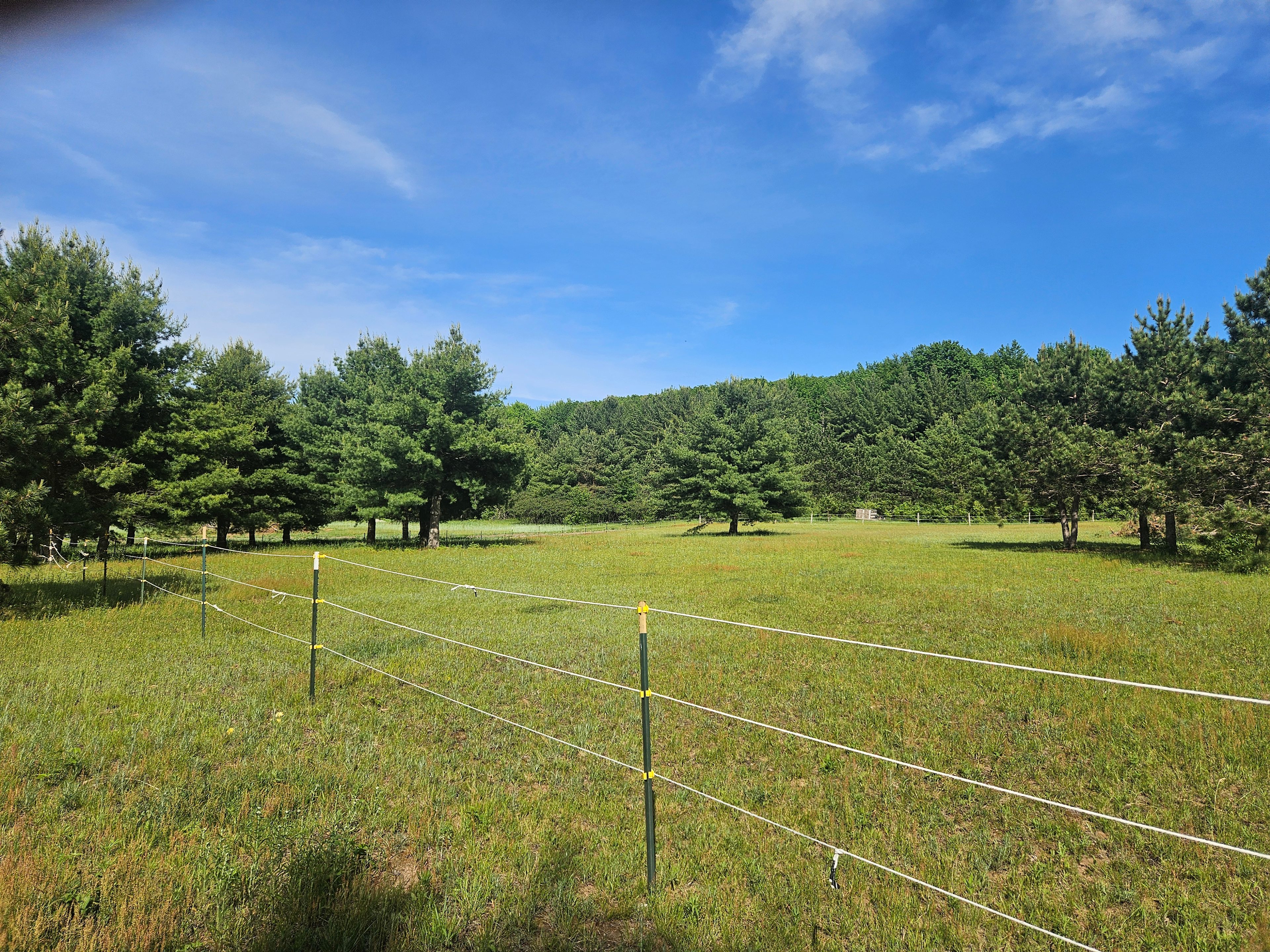 Corner Creek Ranch