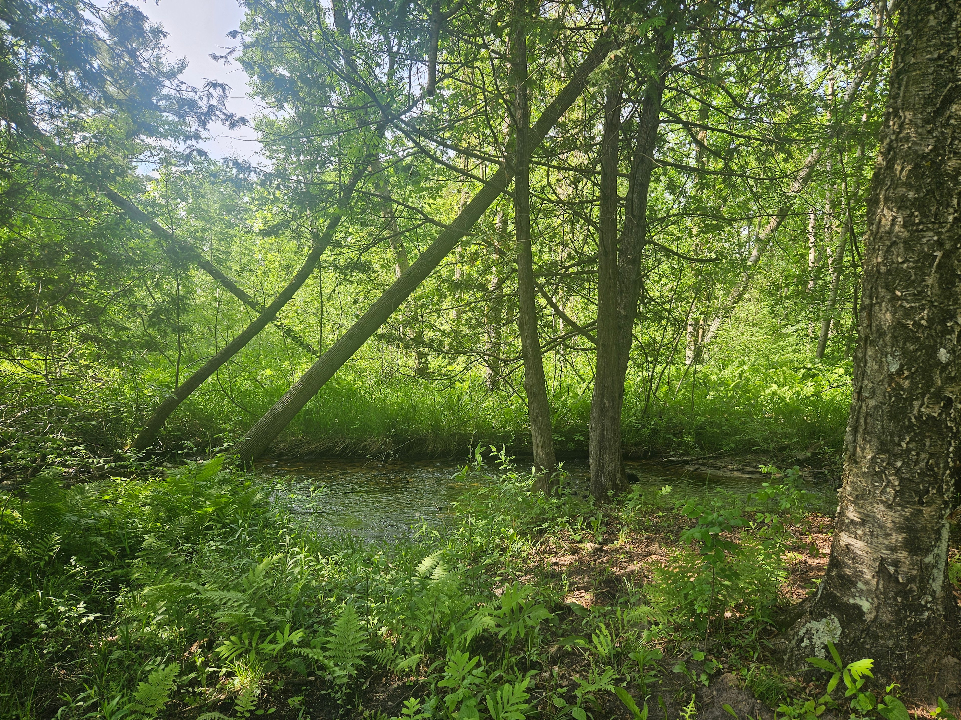 Corner Creek Ranch