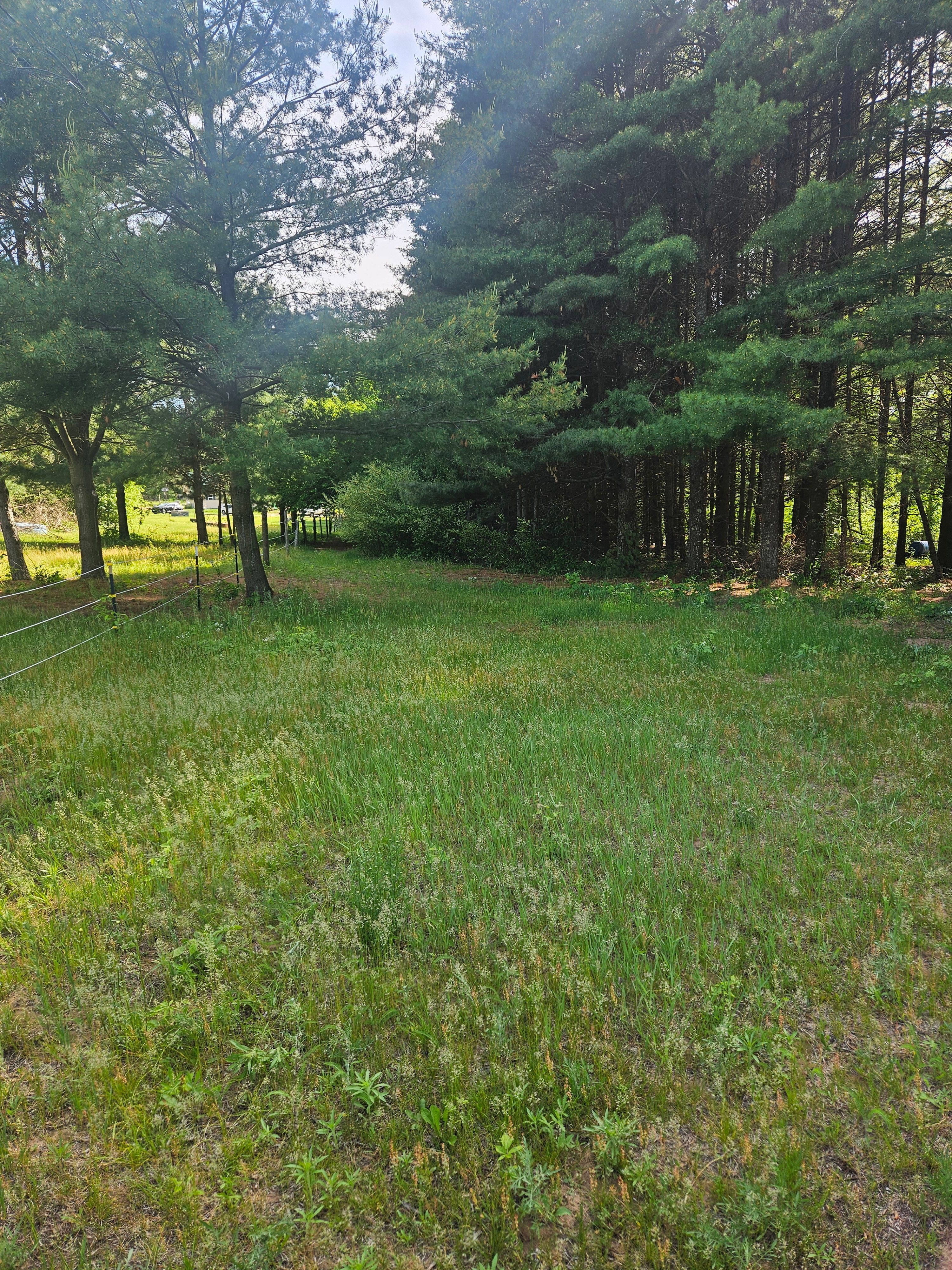 Corner Creek Ranch