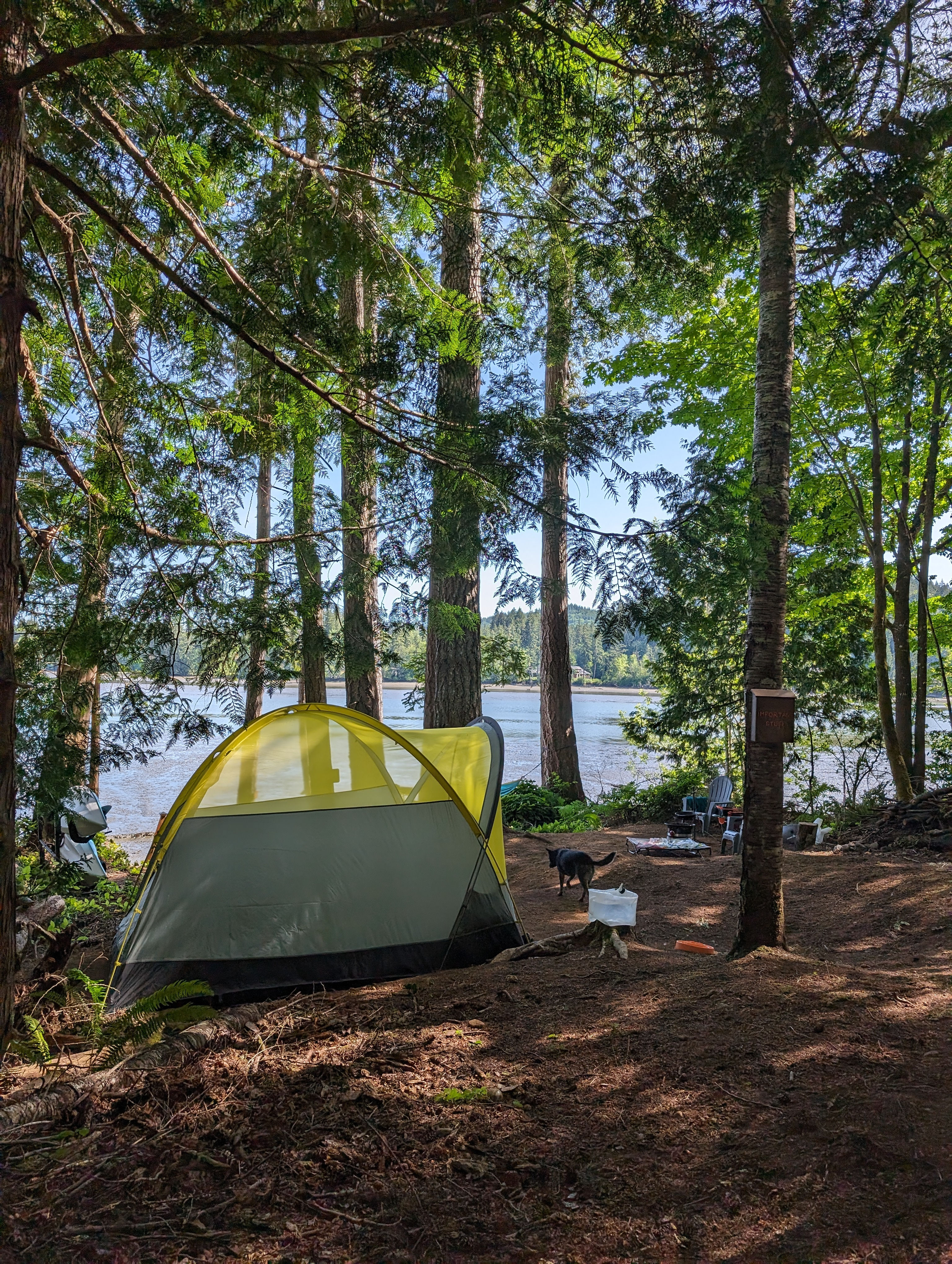 Evergreen Edge Escape 🦭