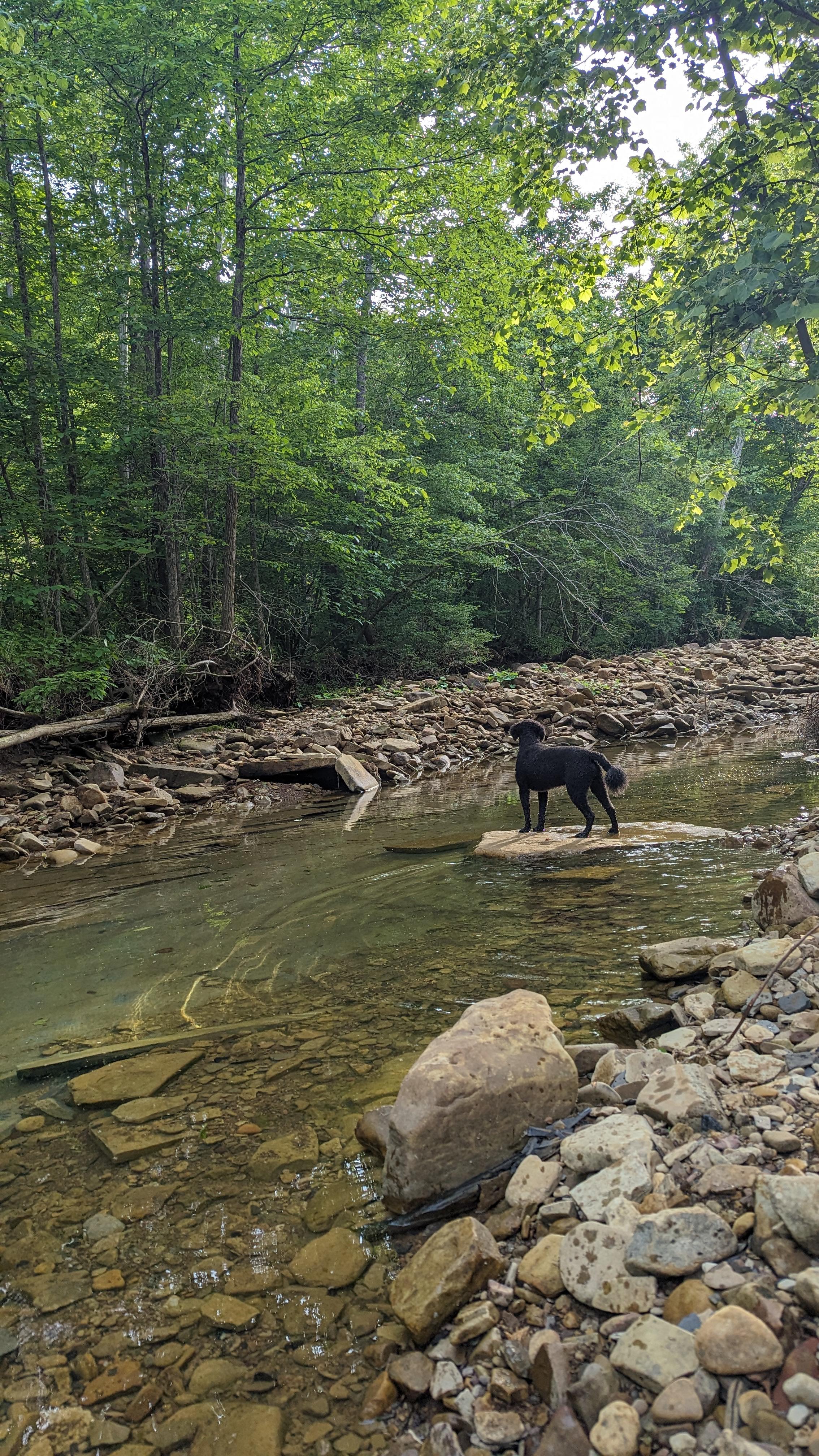 Camp Creek