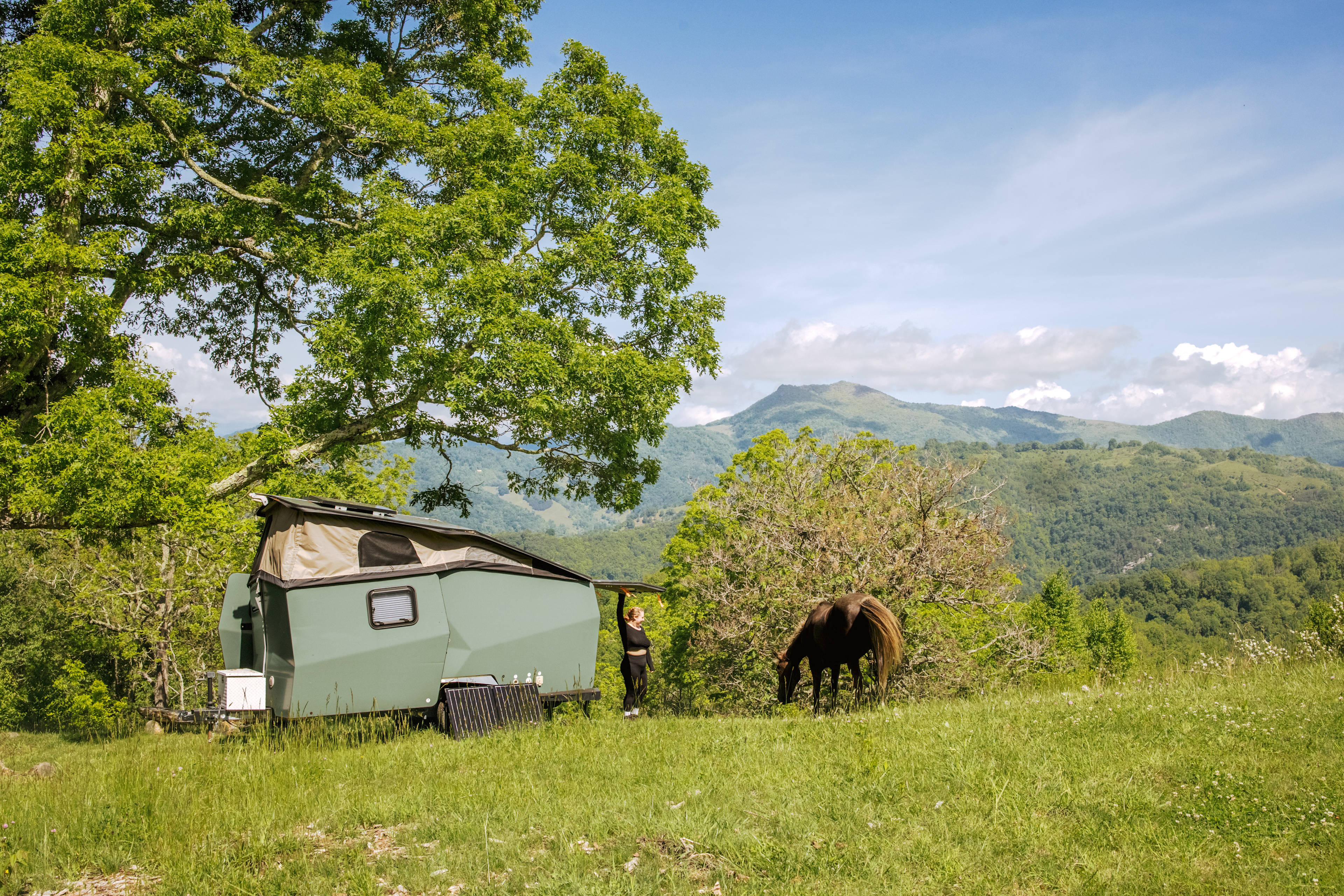 If you're lucky, the horses will pay you a visit. 