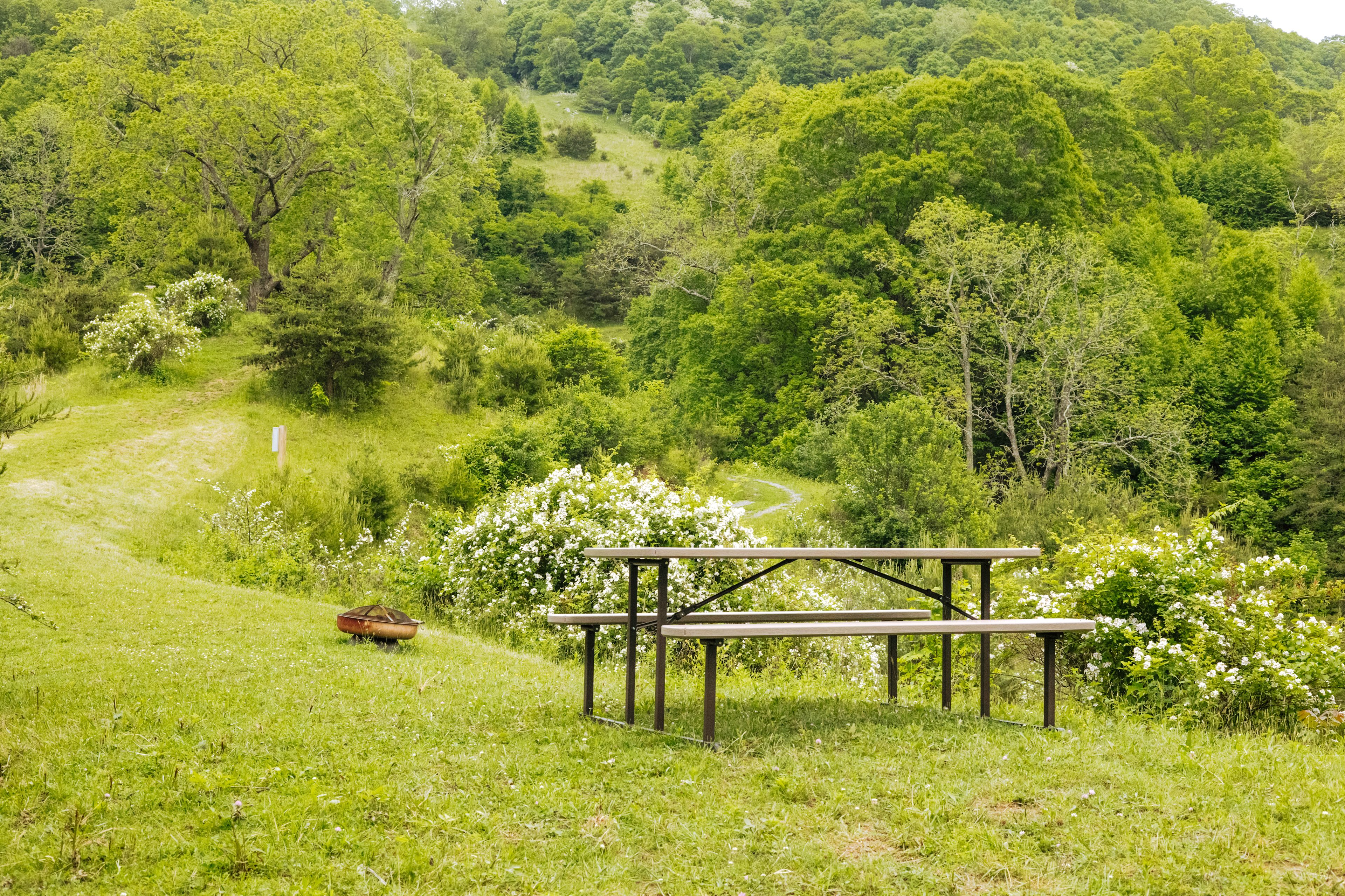 Pause || Eco-Retreat at Aramesh