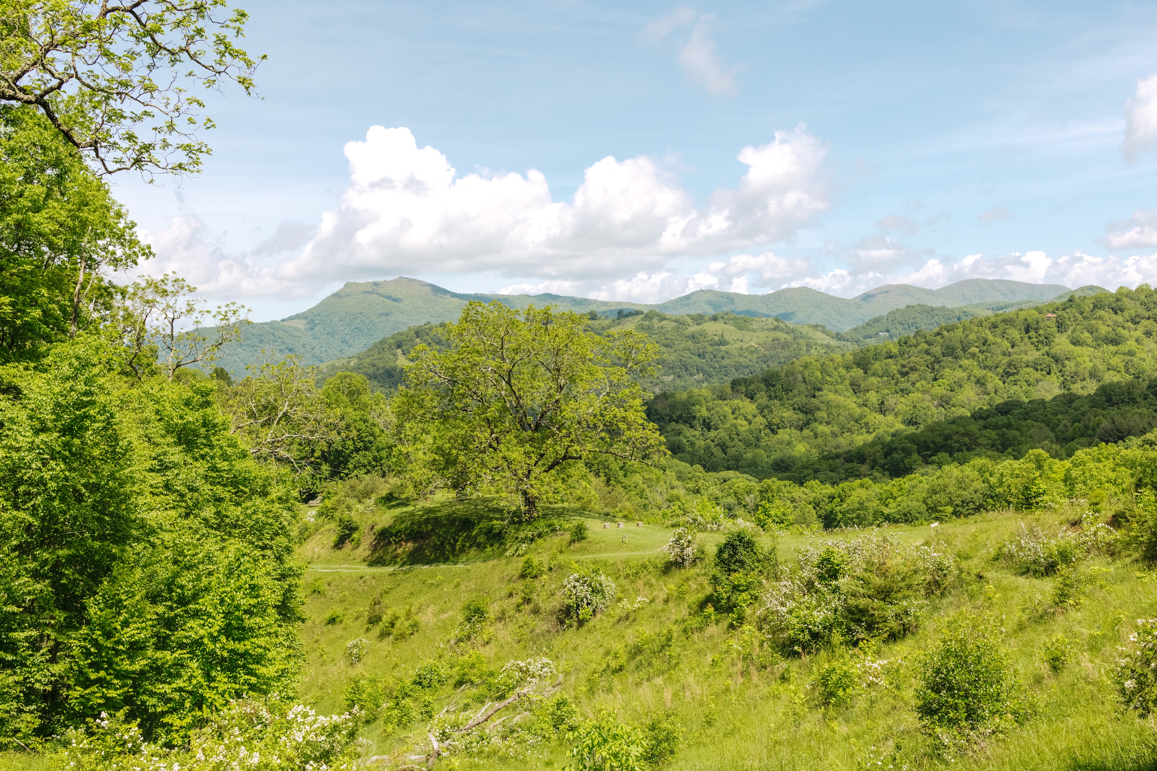 Pause || Eco-Retreat at Aramesh