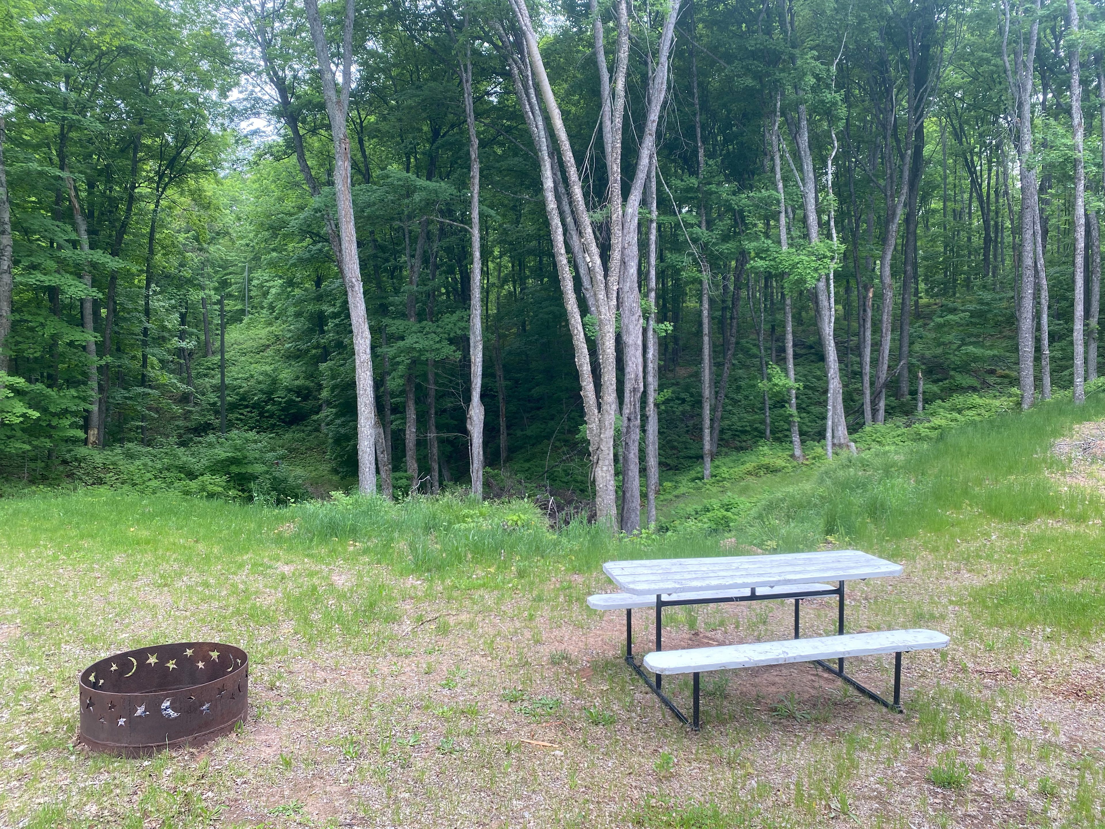 Looking into the hardwood valley from the picnic site