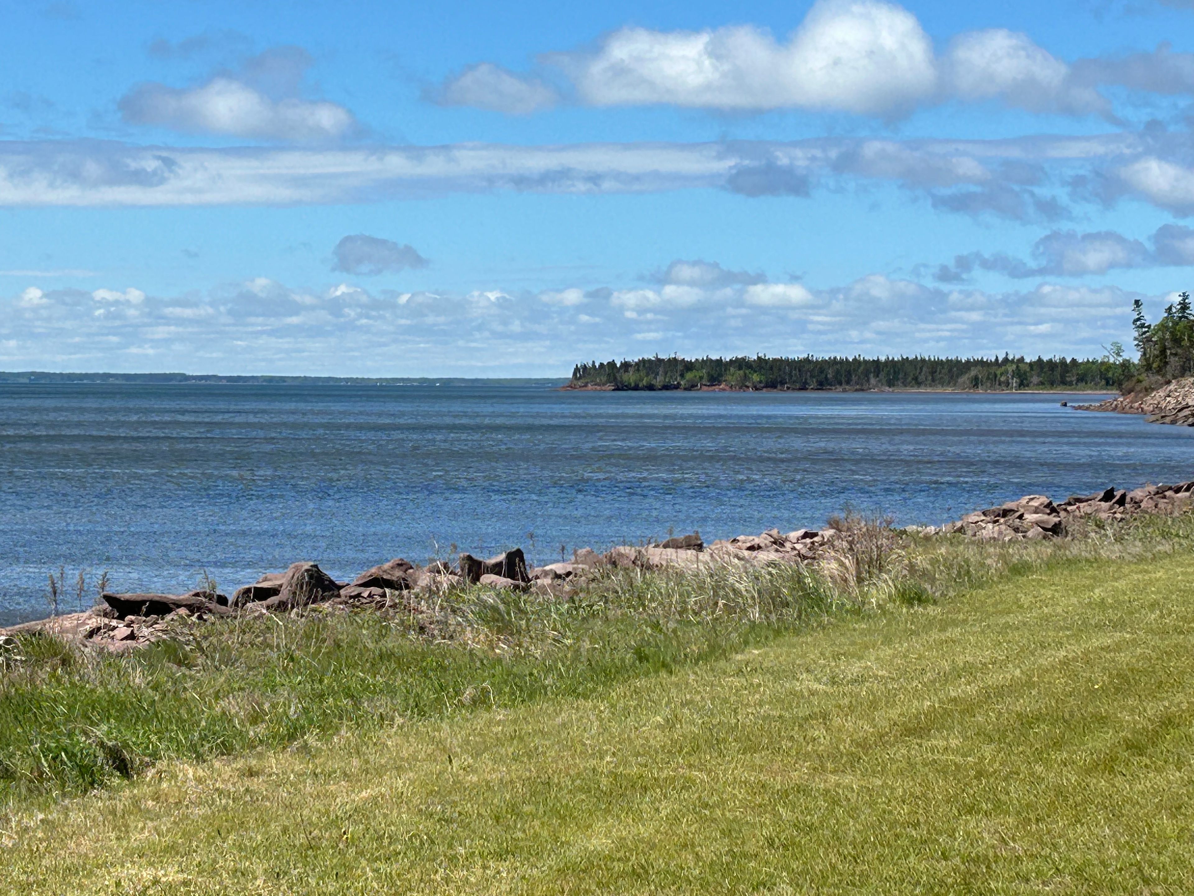 Beach and Forest