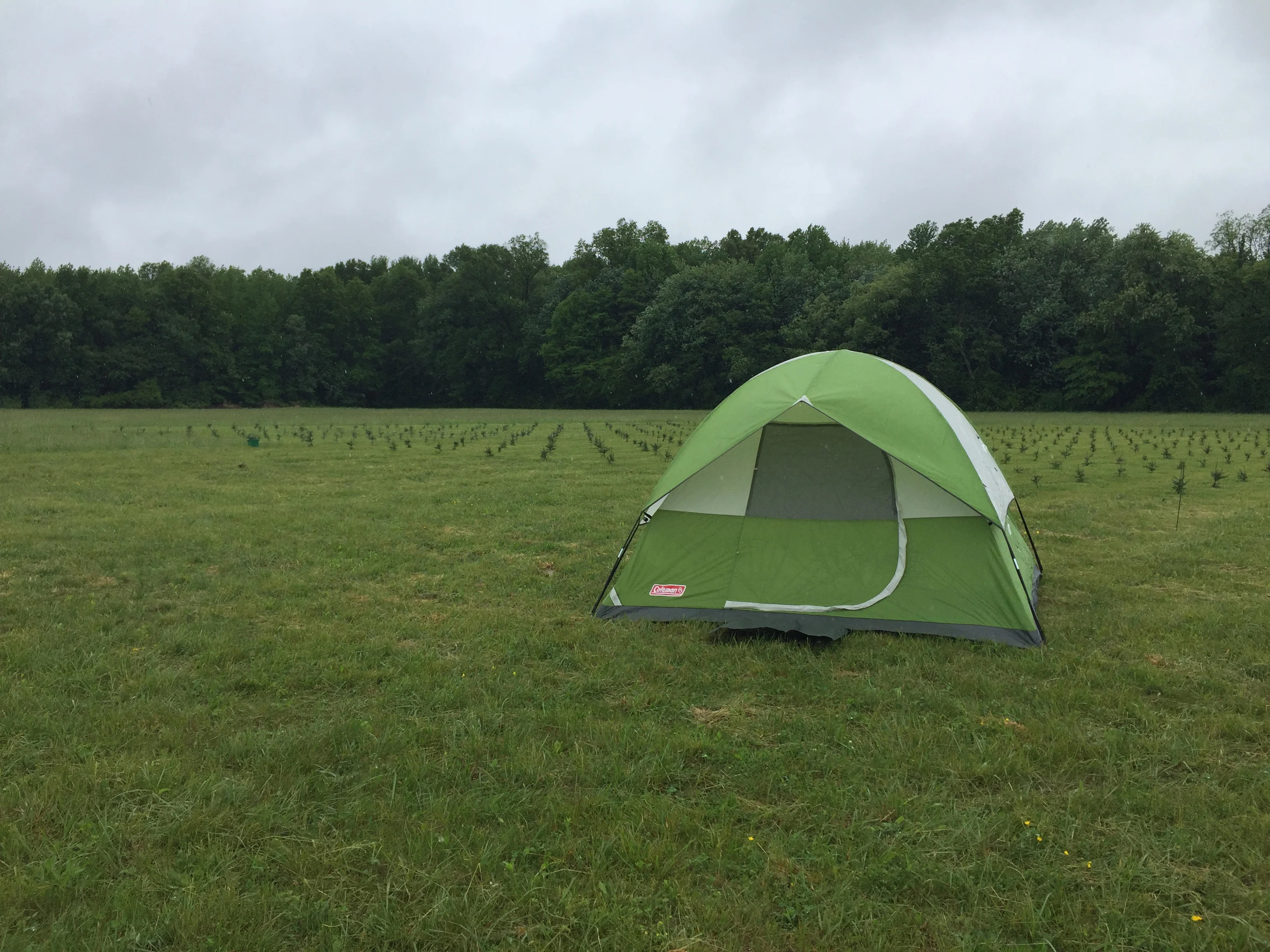 Tent Camping