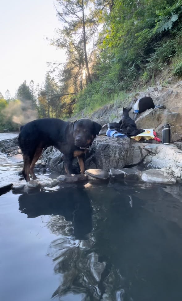 Kosk Creek Campgrounds