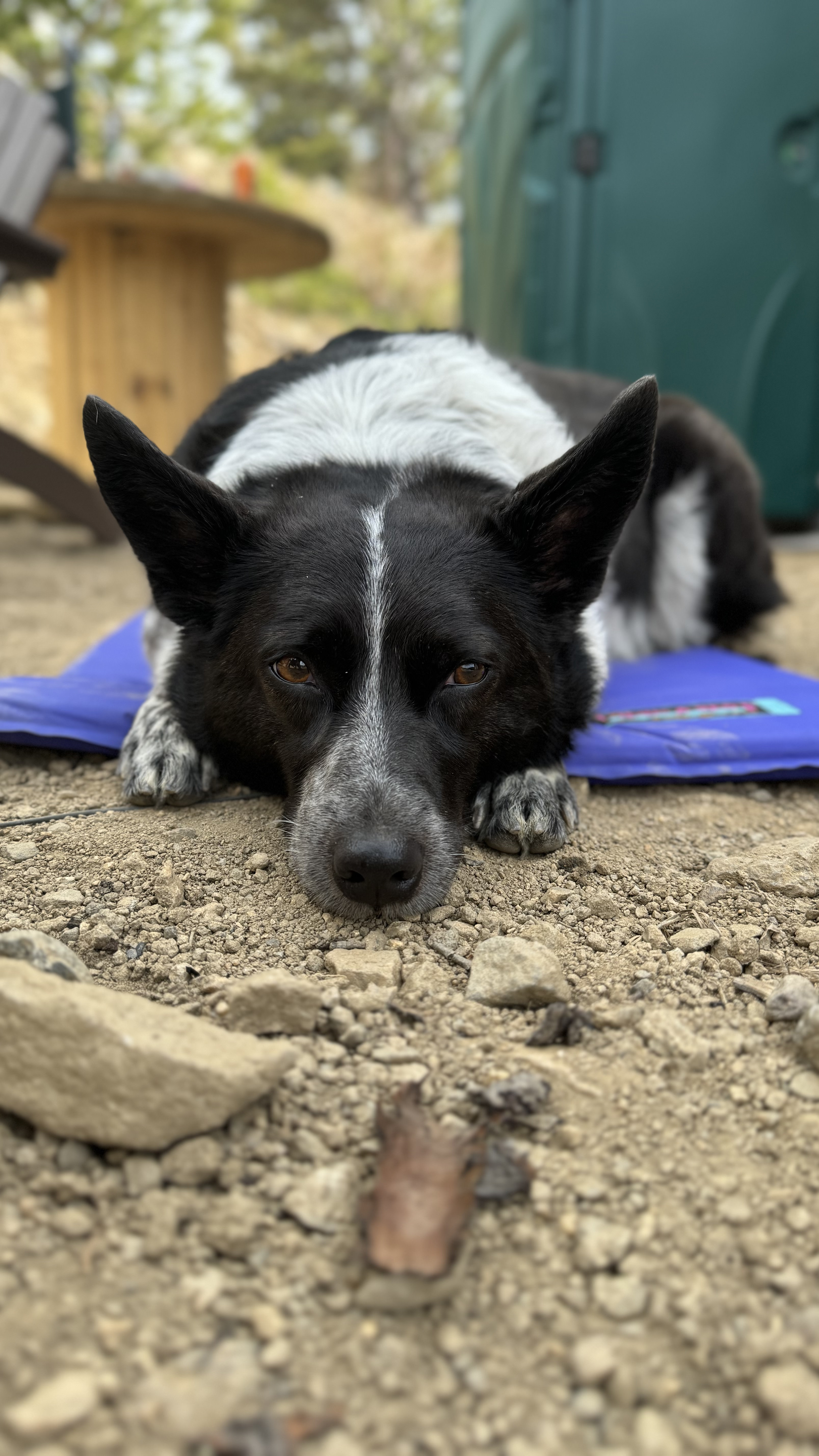 Glacier Getaway Bunkhouse and Lot