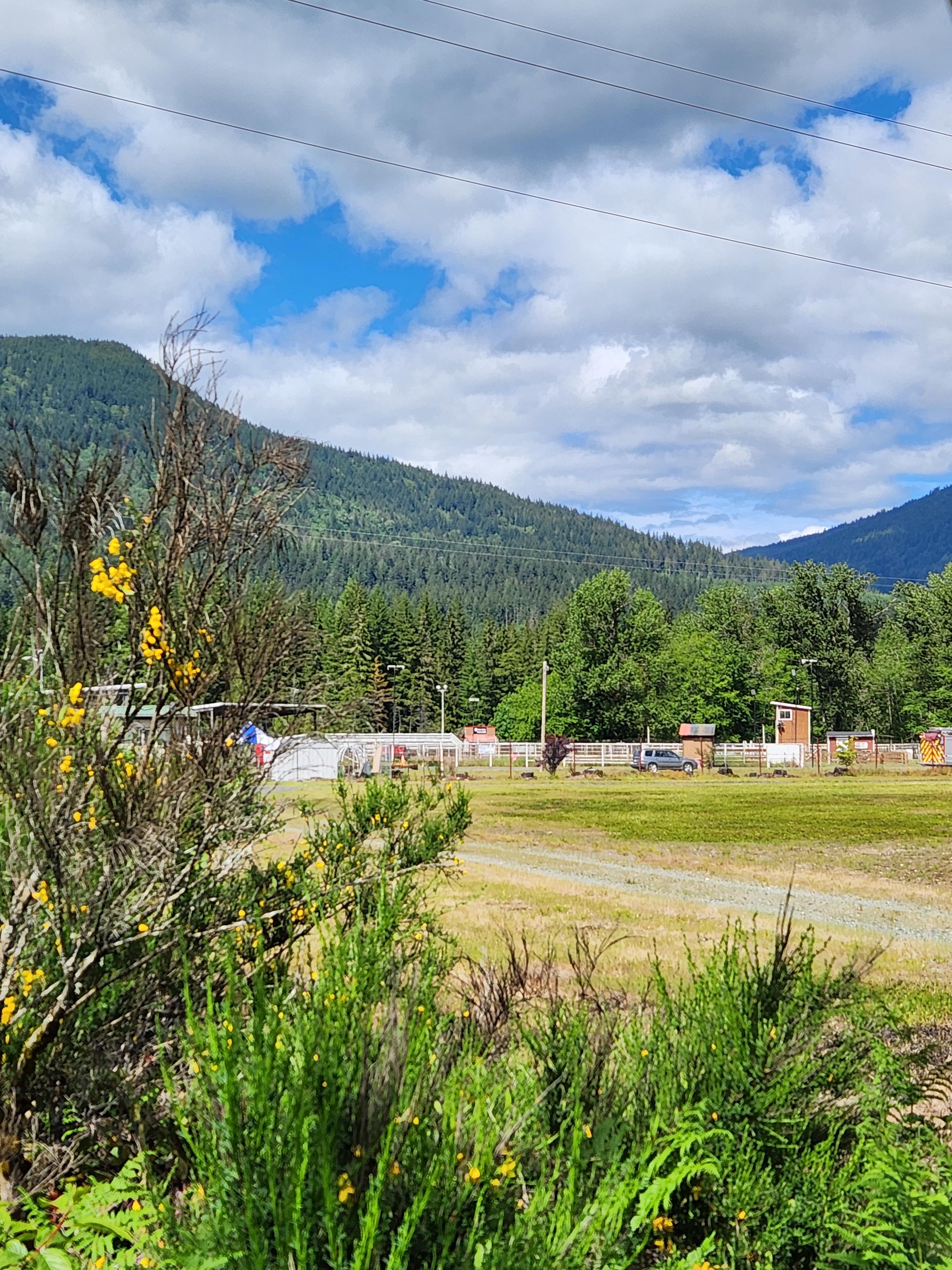 Whitehorse Vista