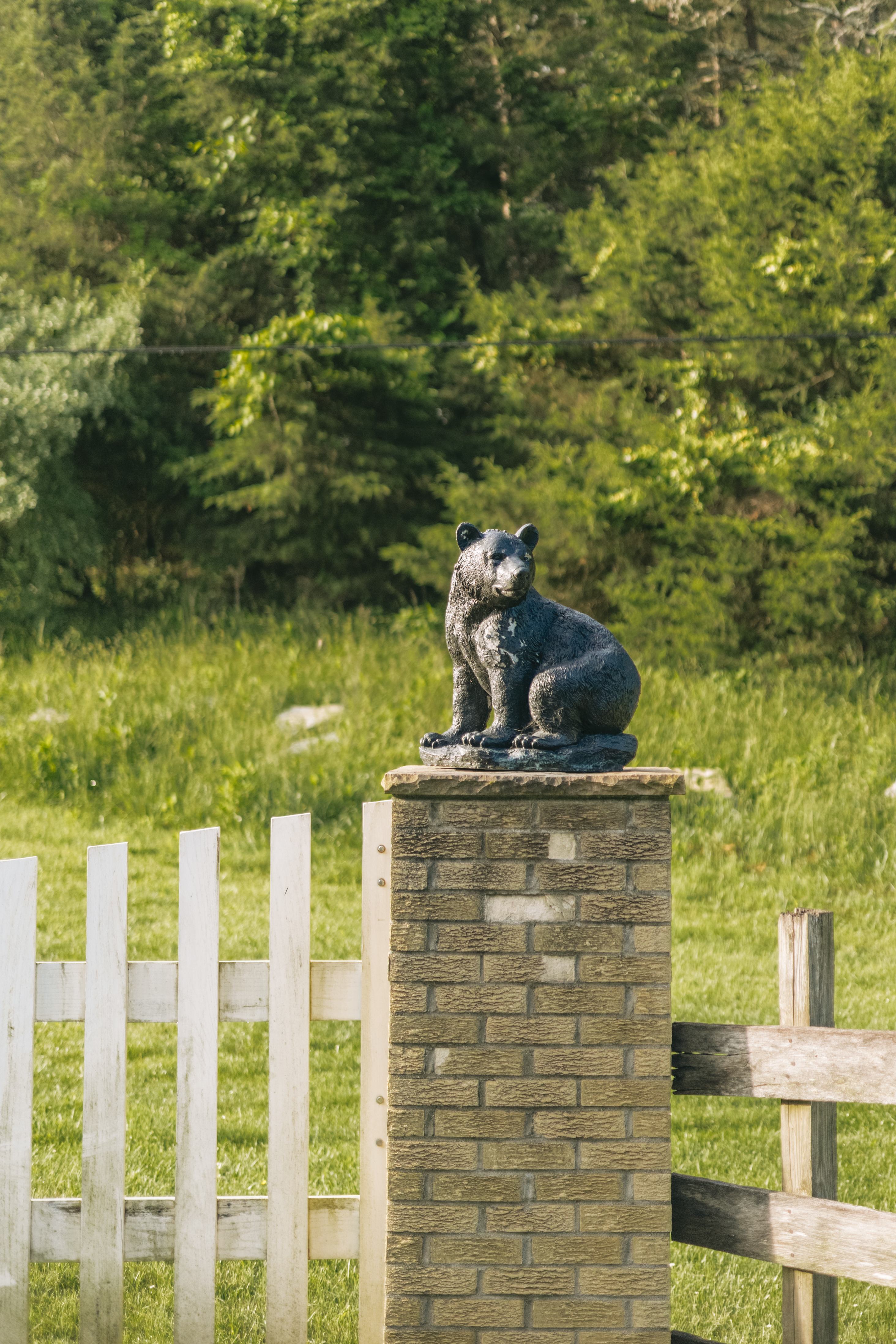 Once you see these bears - you know you're in the right place. 