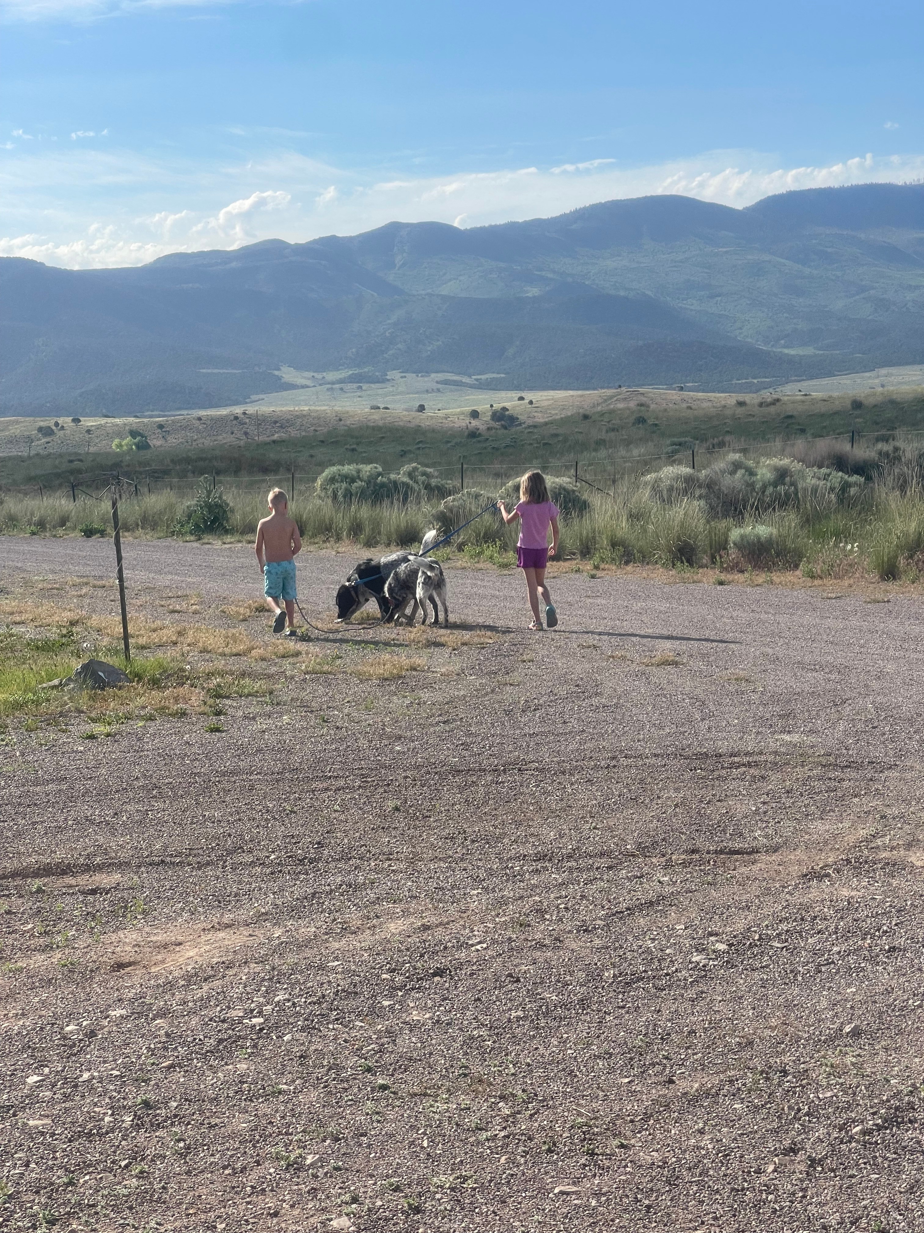 Great views, dog friendly!